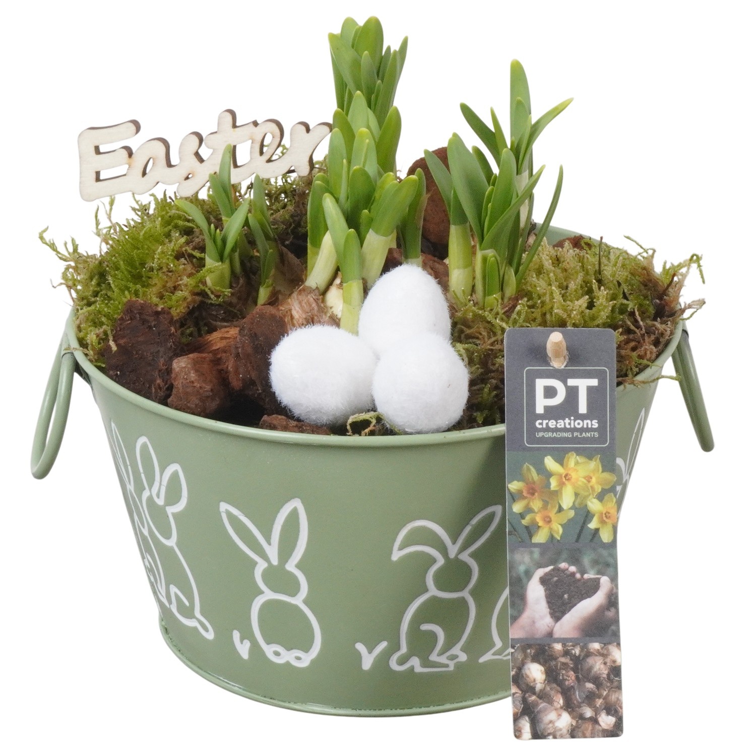 PTNP4442 Arrangement Narcissus Easter in zink pot, D 18