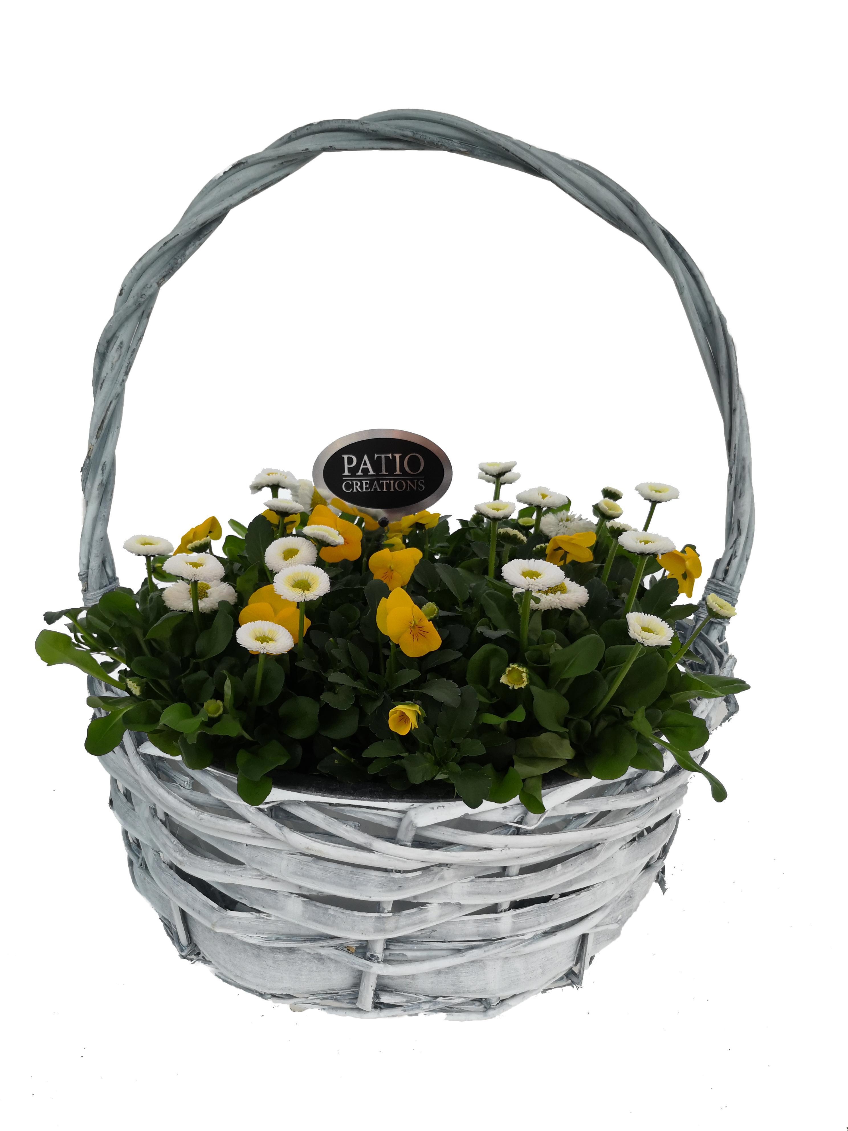 VB613-602 Viola-Bellis Hengselmand laag D30, D 31