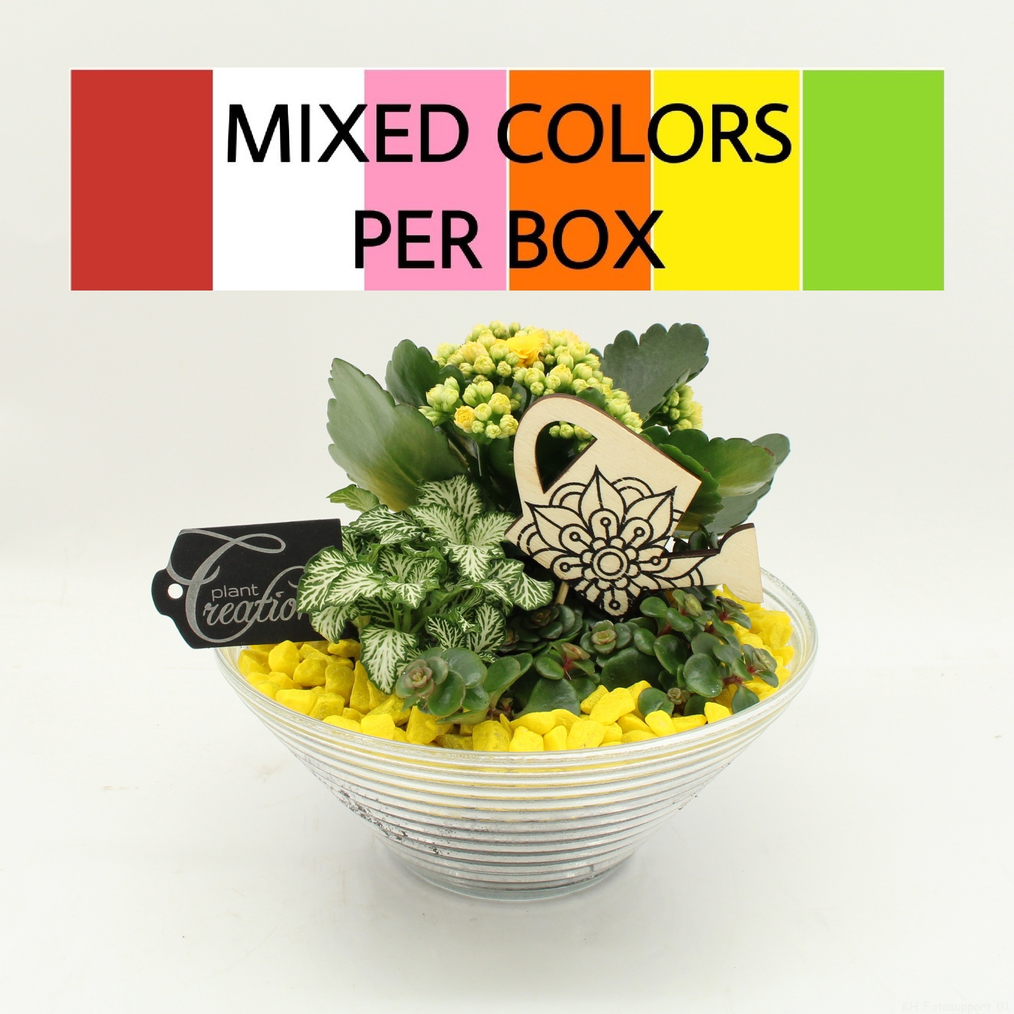 FDCR-2601M Basic Fundamentals, D 20