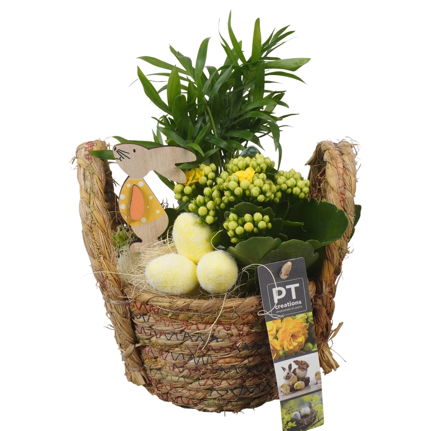 PTPB6549 Arrangement Easter in rieten mand, D 15