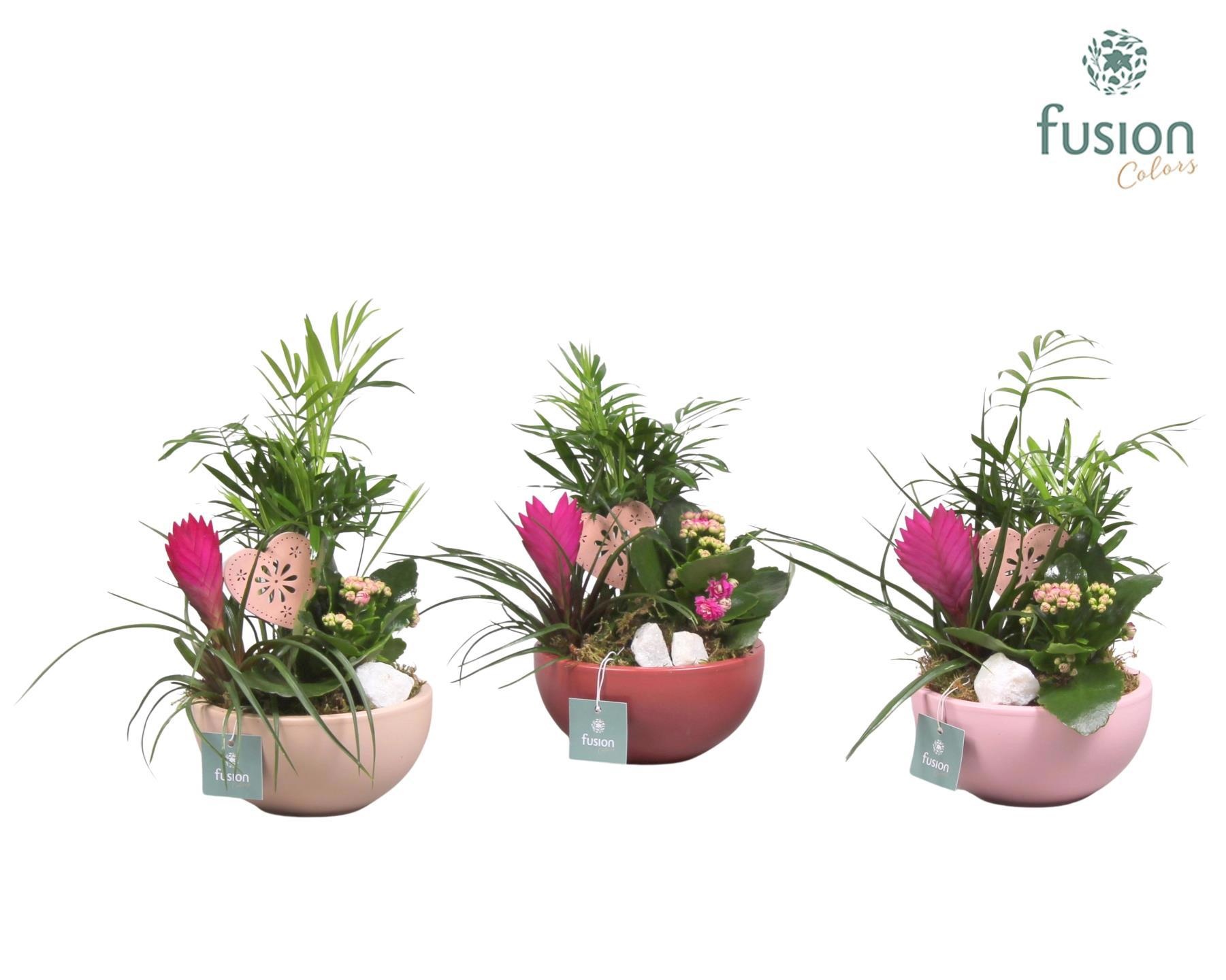 Schaal keramiek Moon Small Love met arrangement, D 15