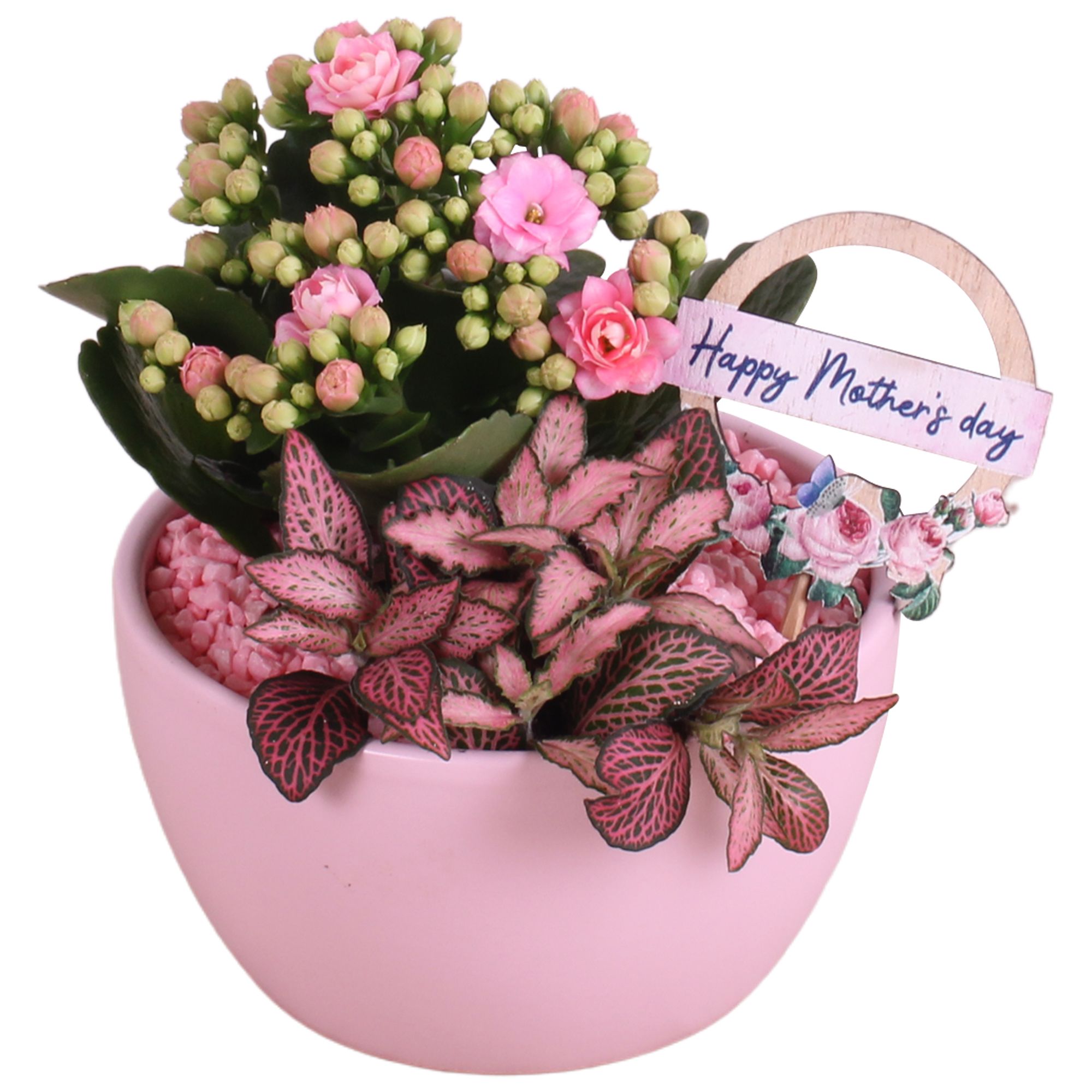 Mothersday Arr. Indoor Ceramic Bowl Round Pink Ø13cm 2PP, D 13