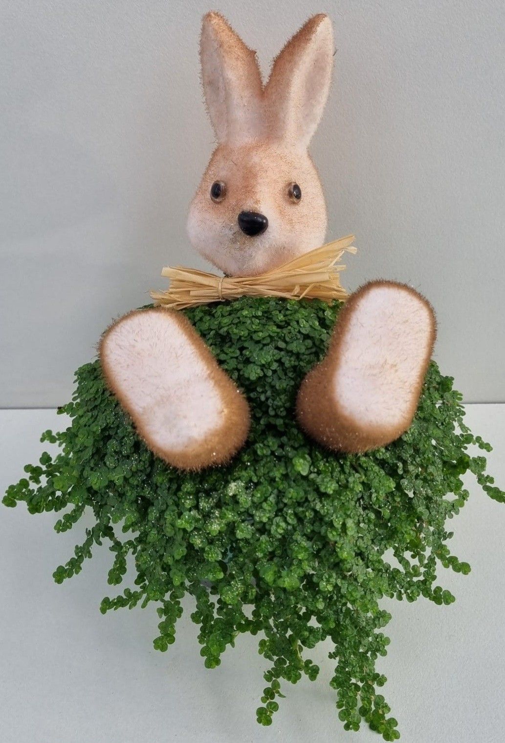 P40 Haas strik bruin, D 11