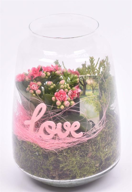 Glas cilinder Zef met hals 16cm, D 16