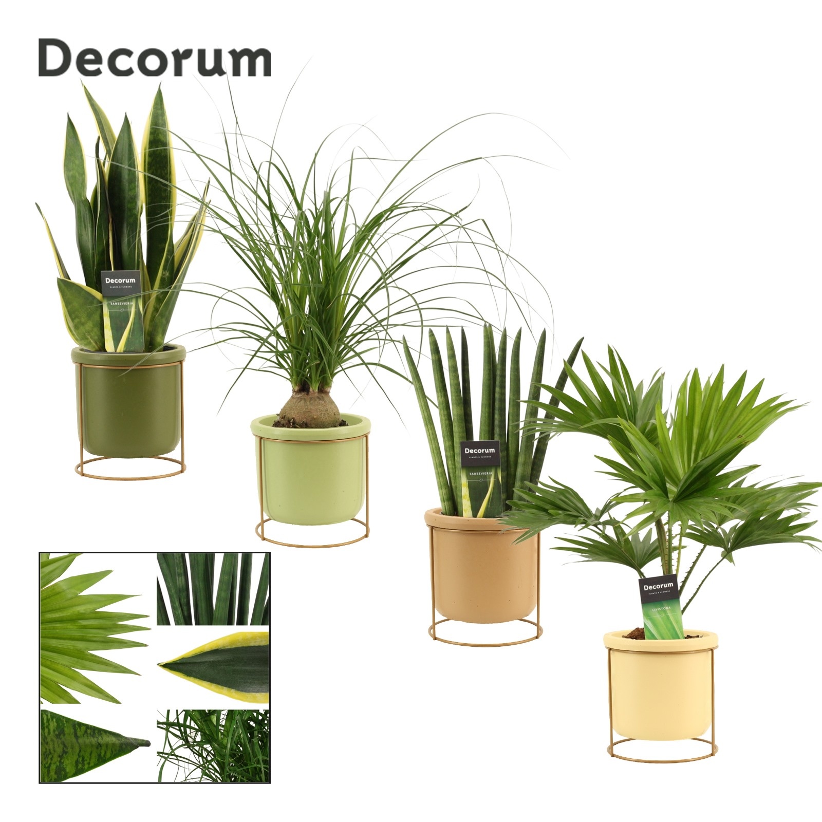 Groenmix 12 cm in Lynn (Silent moods-collection), D 12