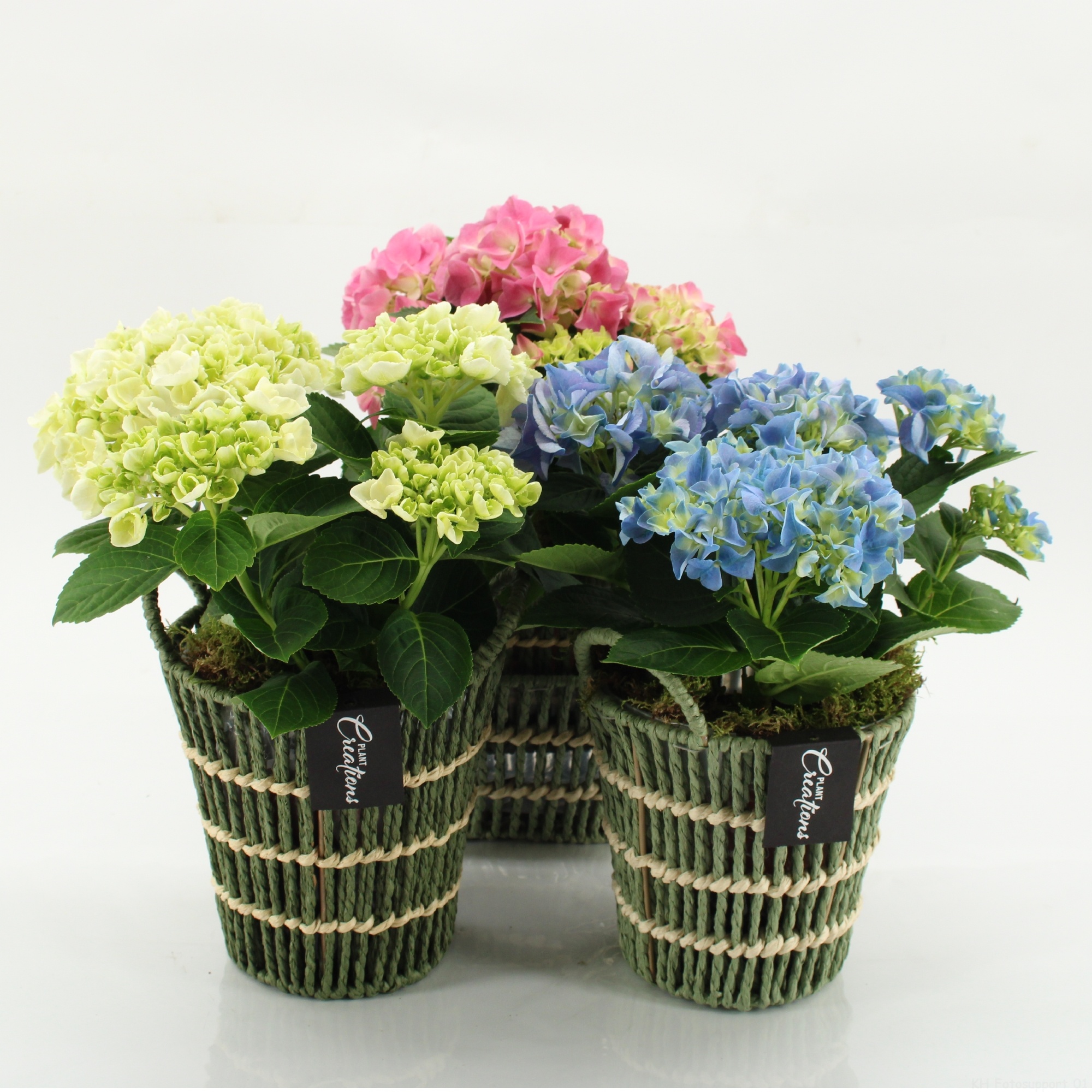 KHCR-2601M Hydrangea creations, D 16