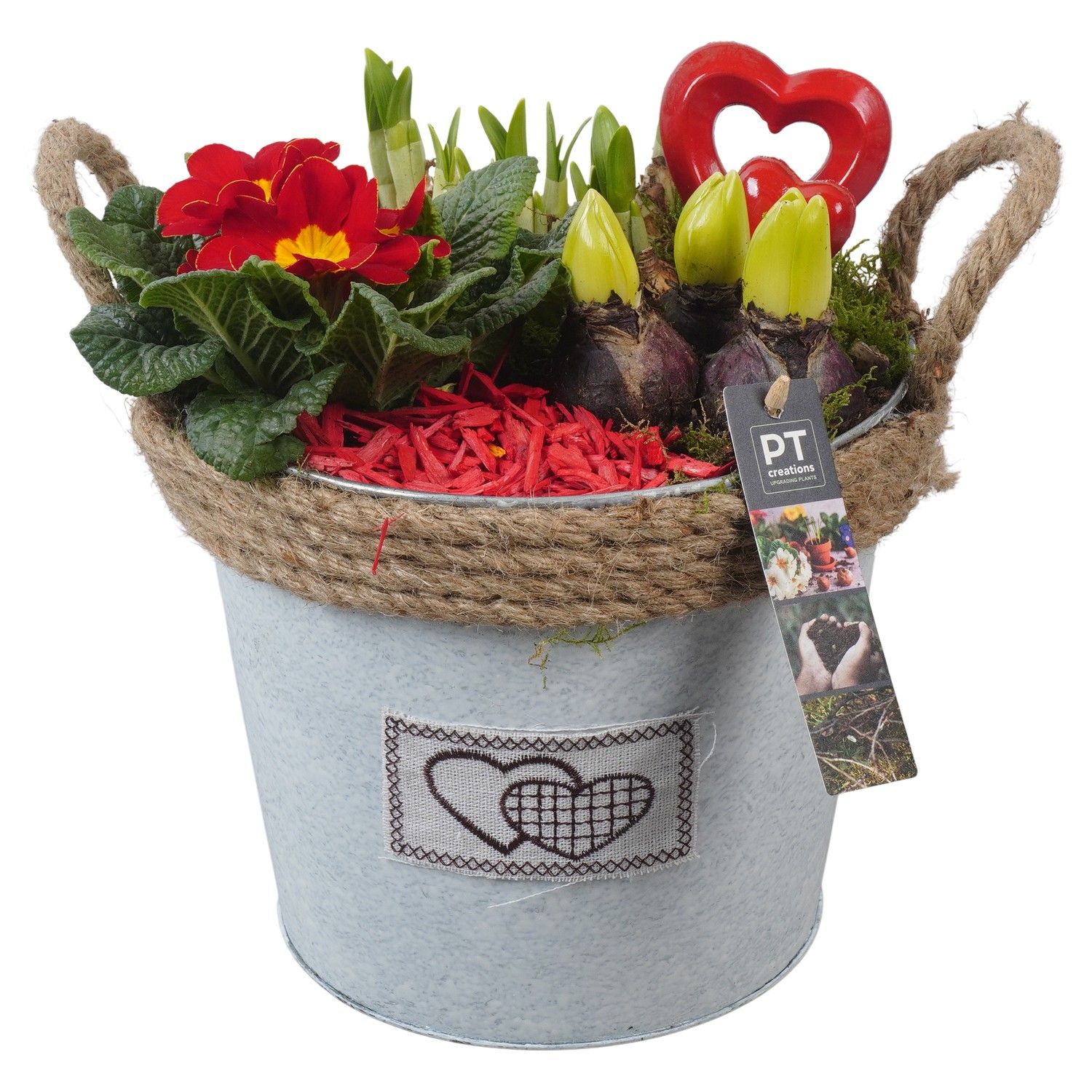 PTVO3603 Arrangement Valentine Outdoor in metalen pot, D 22