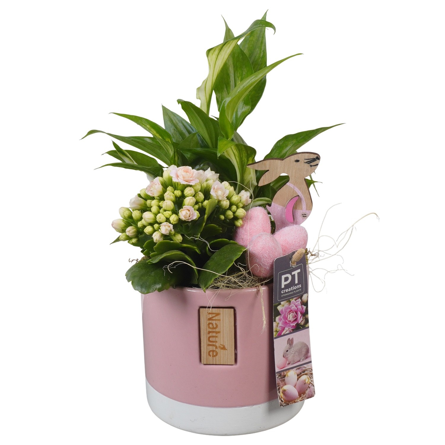 PTPB6478 Arrangement Easter in keramiek pot, D 11