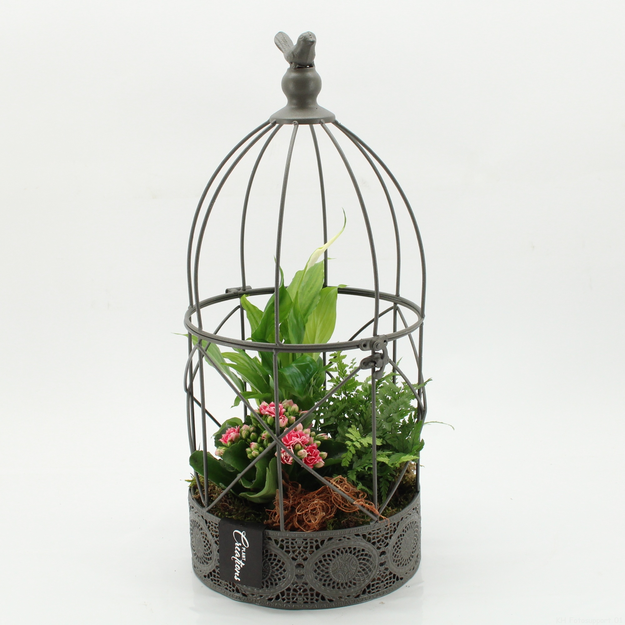 ESCR-2623RZ Essentials, D 21