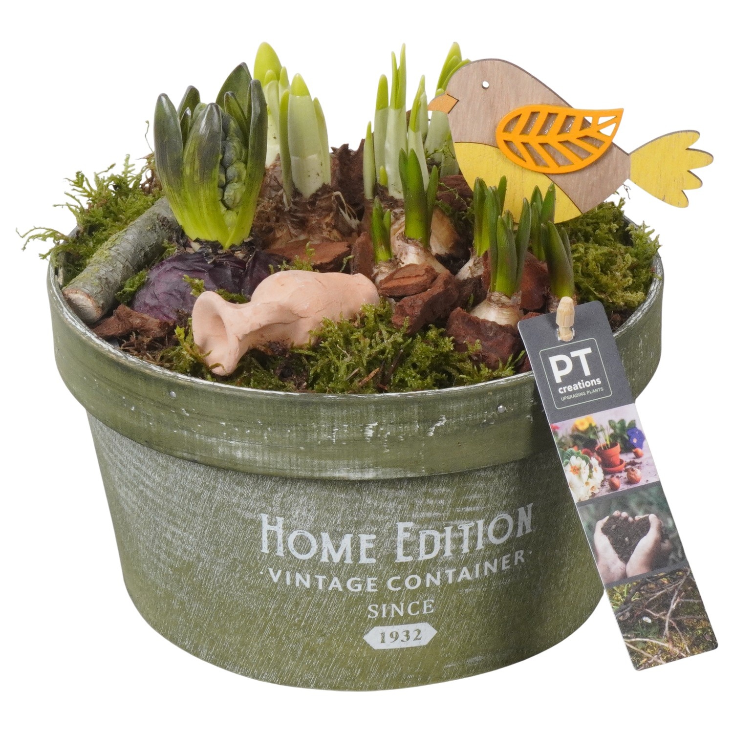 PTBM3923 Arrangement Flower Bulbs Mix in houten pot, D 20