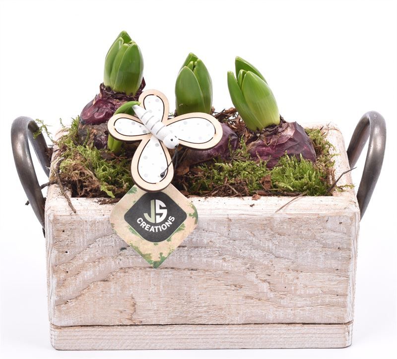 Hout rechthoek met handvat 20x13cm, D 20