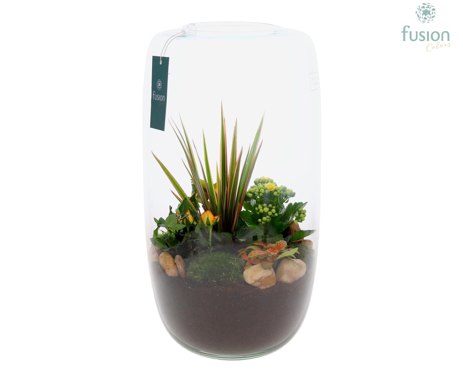 Green Bottle Isabella XXLarge met arrangement, D 23