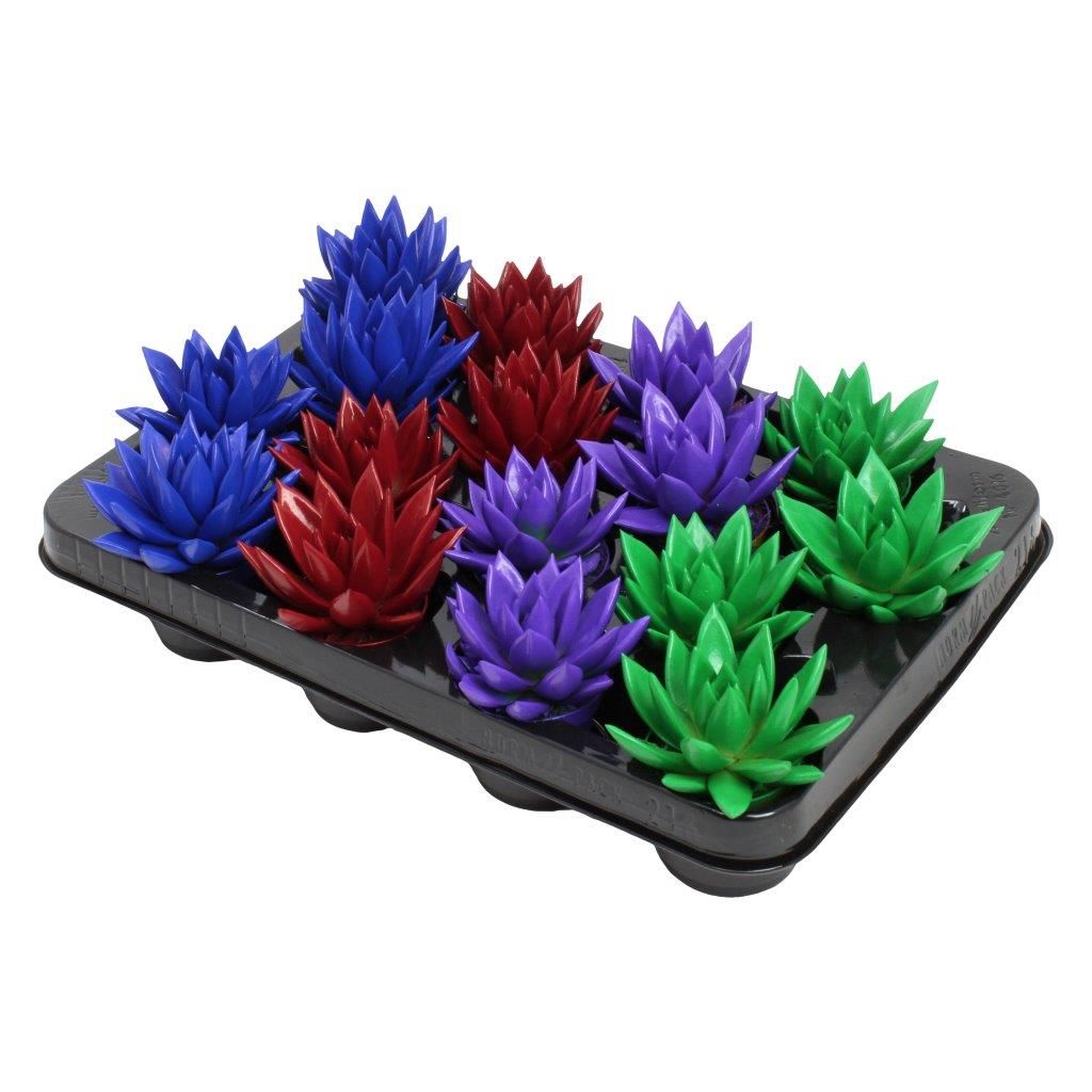 Miranda coloured winter mix, D 6