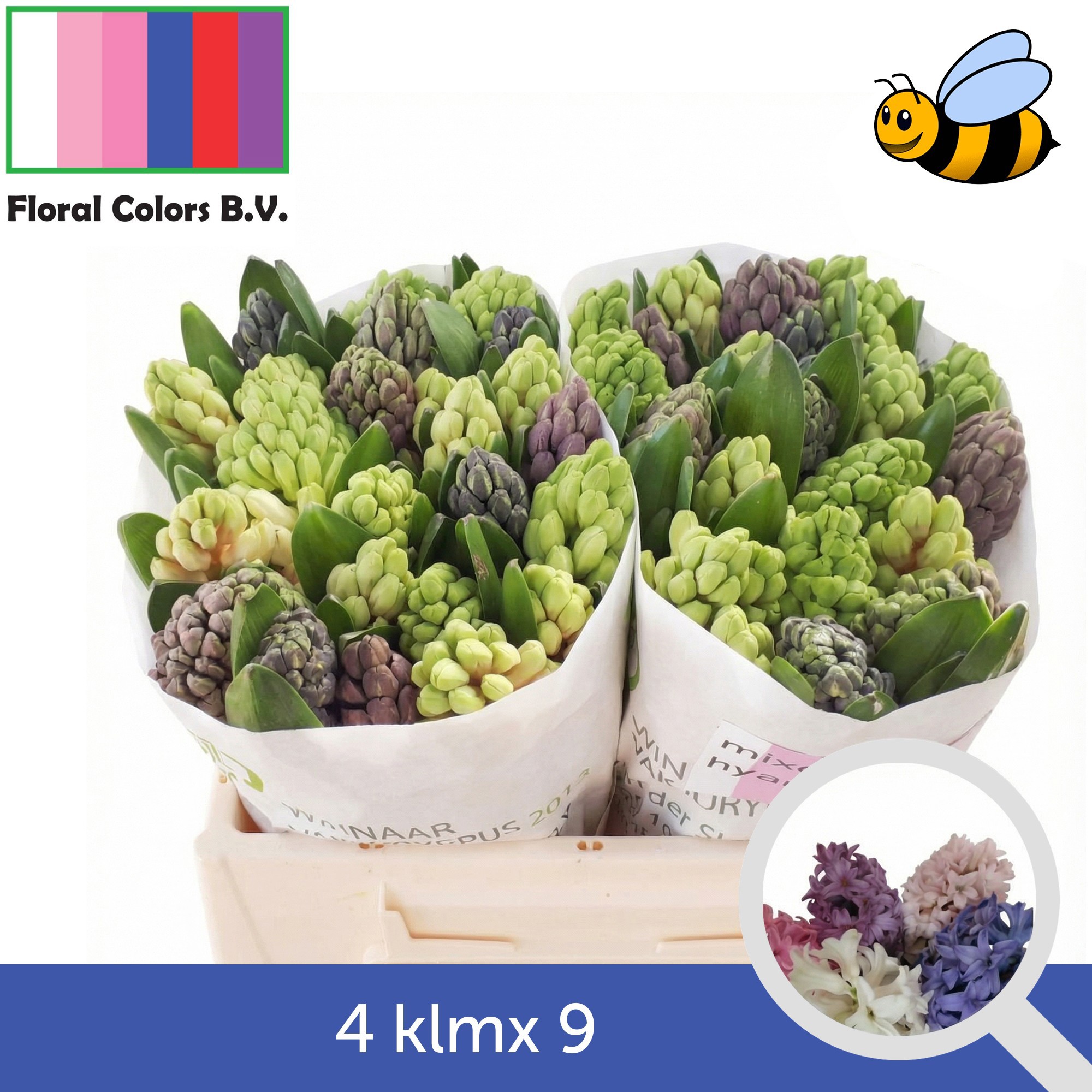 Гиацинт Микс 4 цвета, шт.