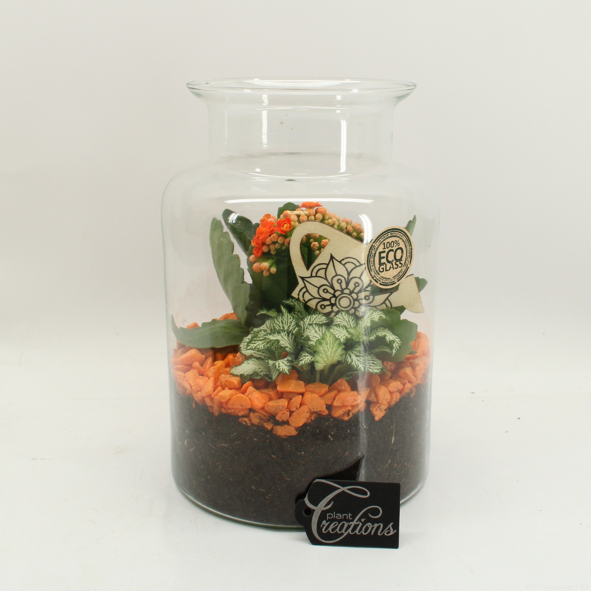 FDCR-2606OR Basic Fundamentals terrarium, D 17