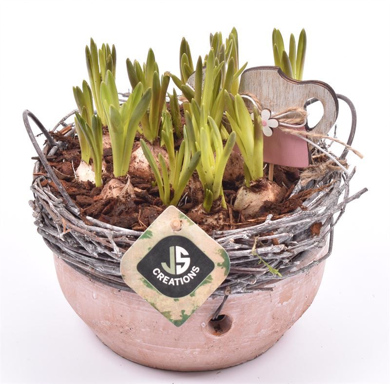 Cement schaal met wilg rand 18cm, D 18