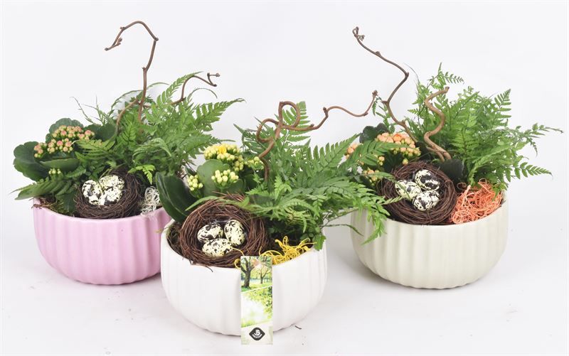 Keramiek schaal kleur mix 16,5cm, D 16