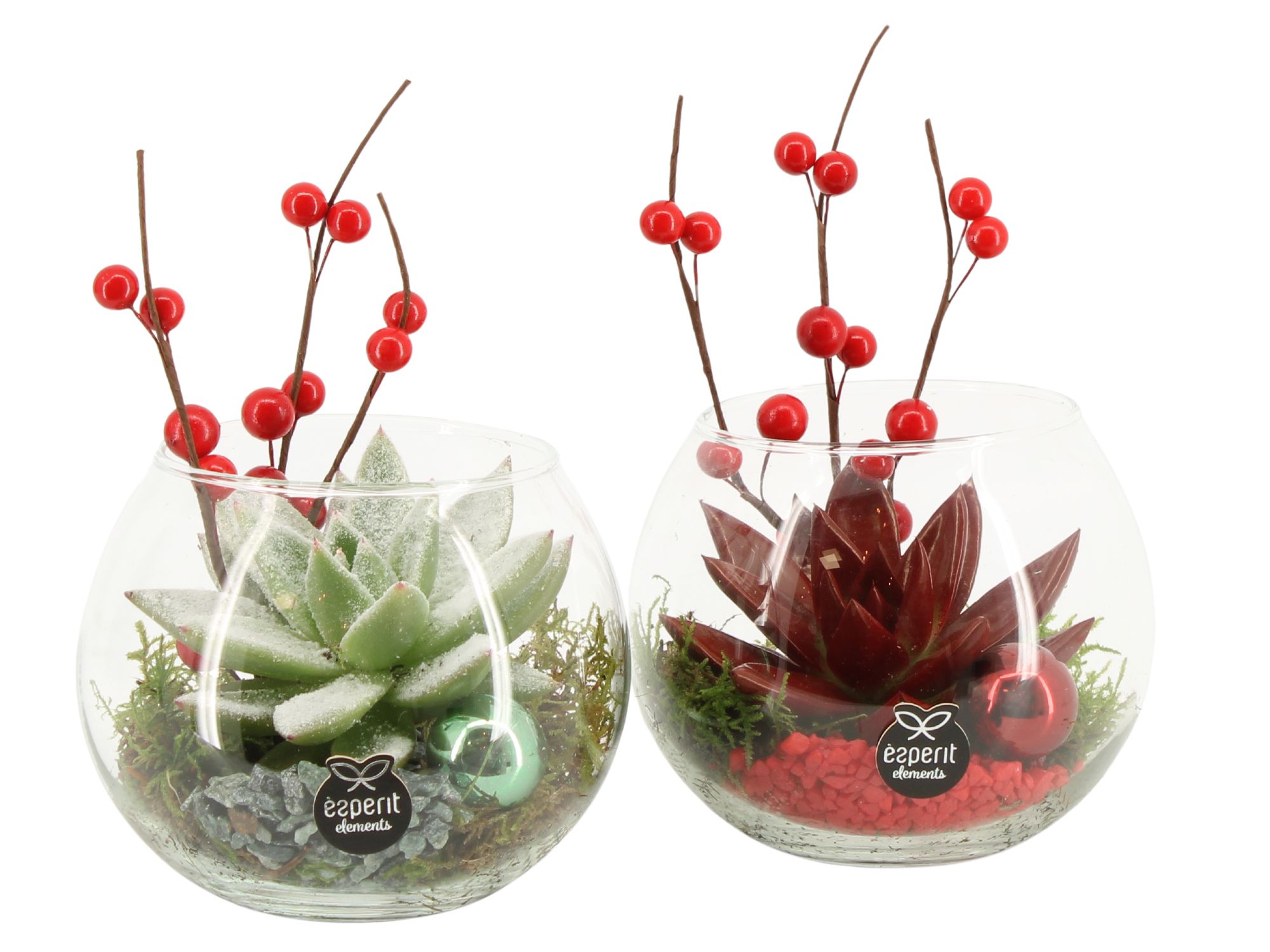 61570: X-mas arrangement, D 12