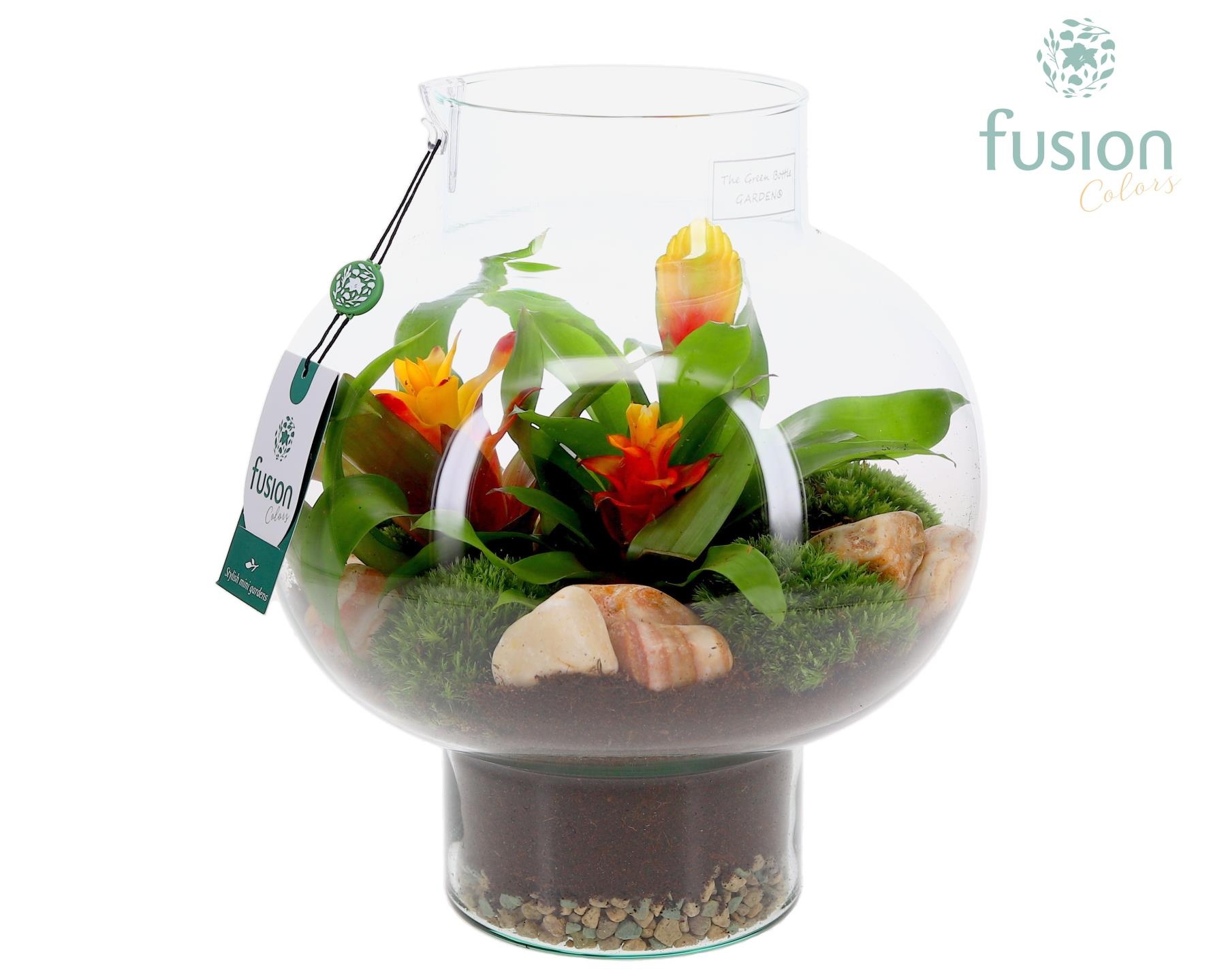 Green Bottle Laura Medium met Bromelia arrangement, D 26