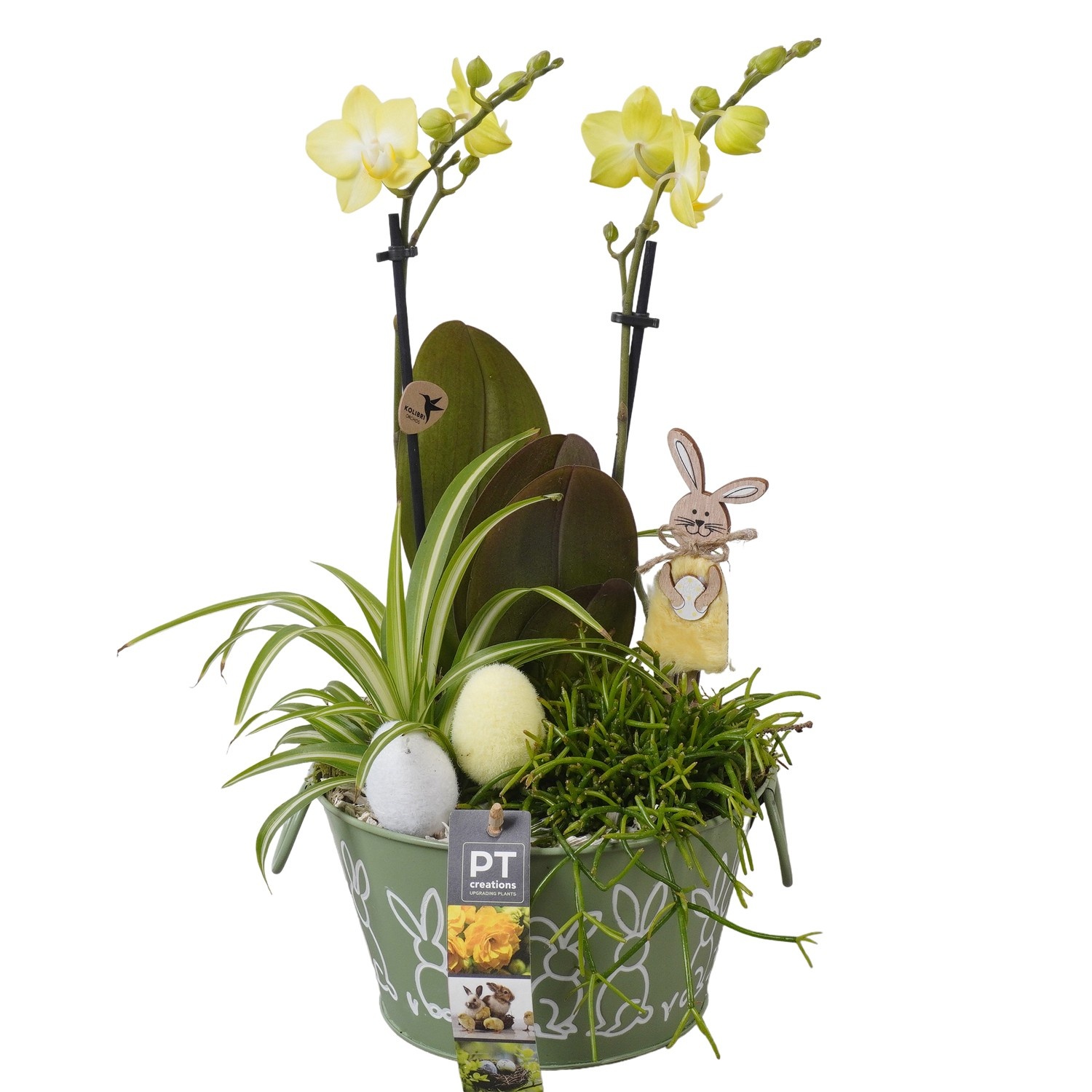 PTPB6460 Arrangement Easter in zink pot, D 18