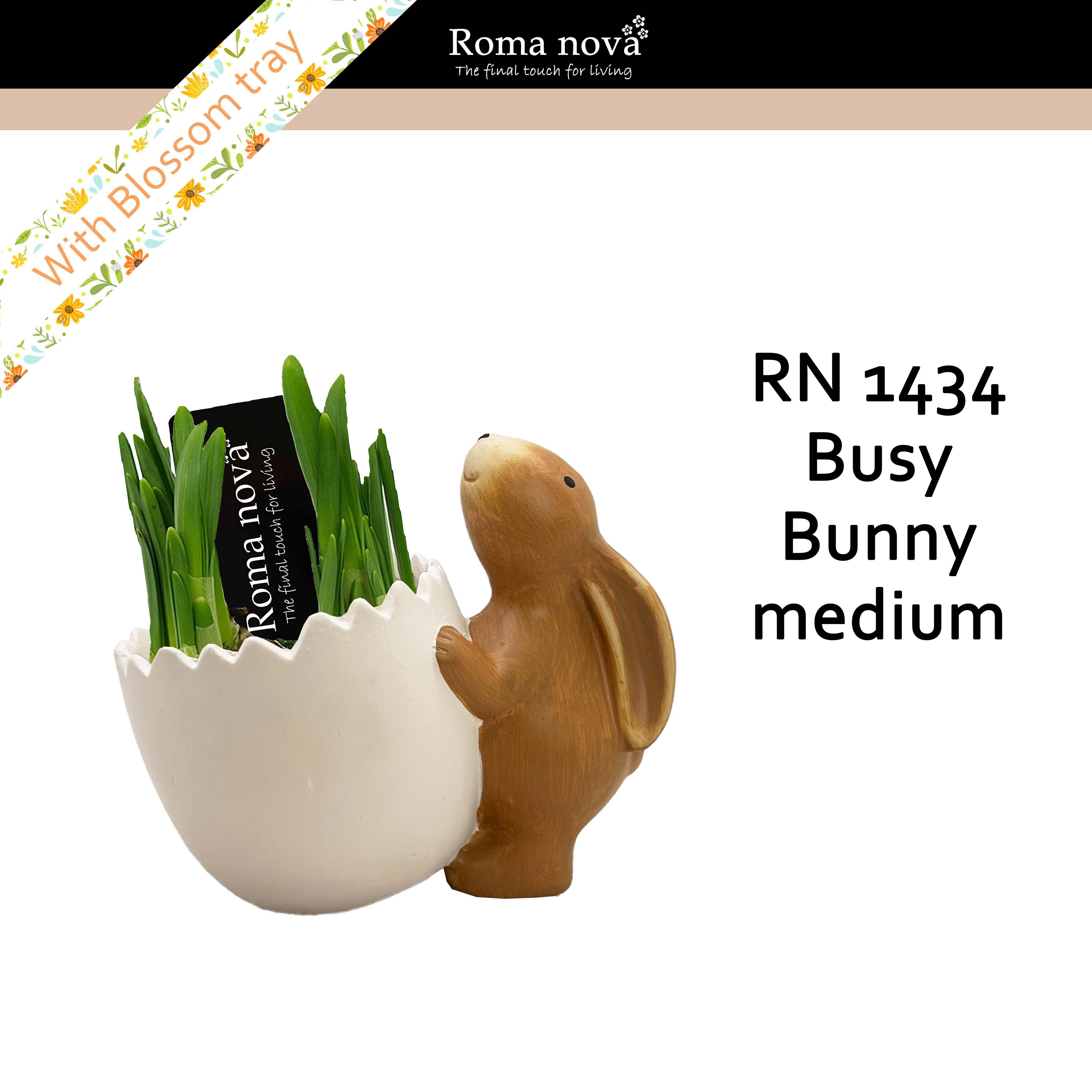 1434 - Busy Bunny medium (Tete a Tete), D 15