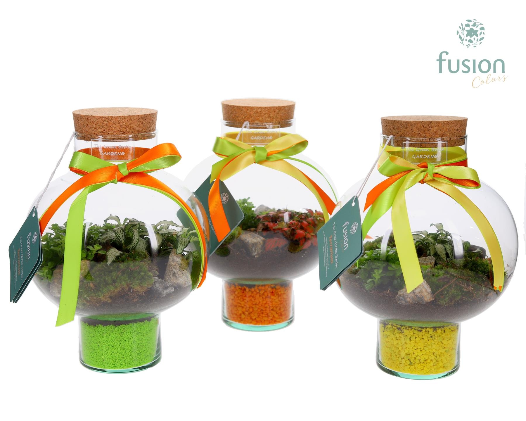 Green BottleLaura Small met Terrarium arrangement, D 20