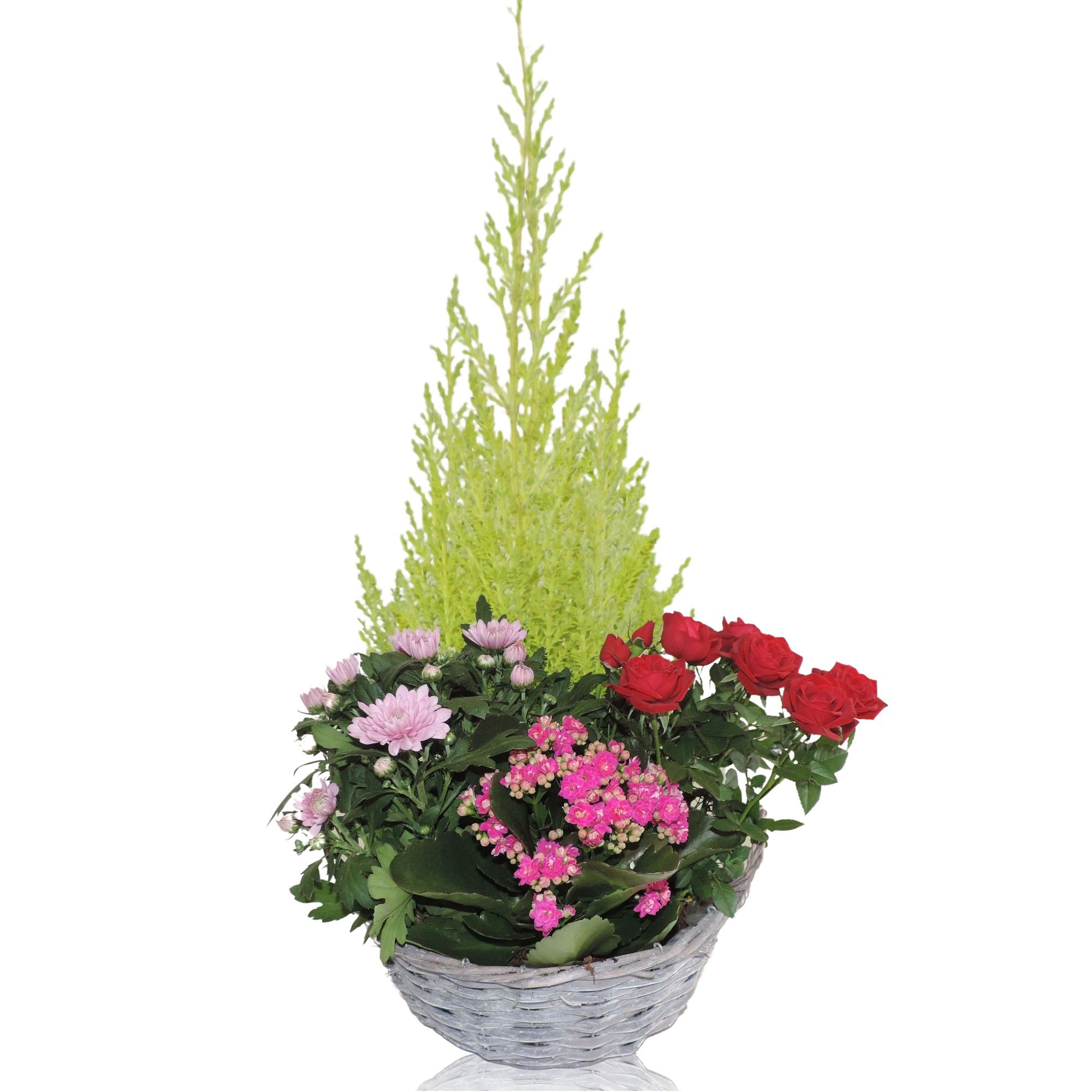 Arrangement in Mand Split Willow 29 cm, D 29