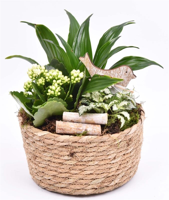 Touwmand laag 19,5cm, D 20