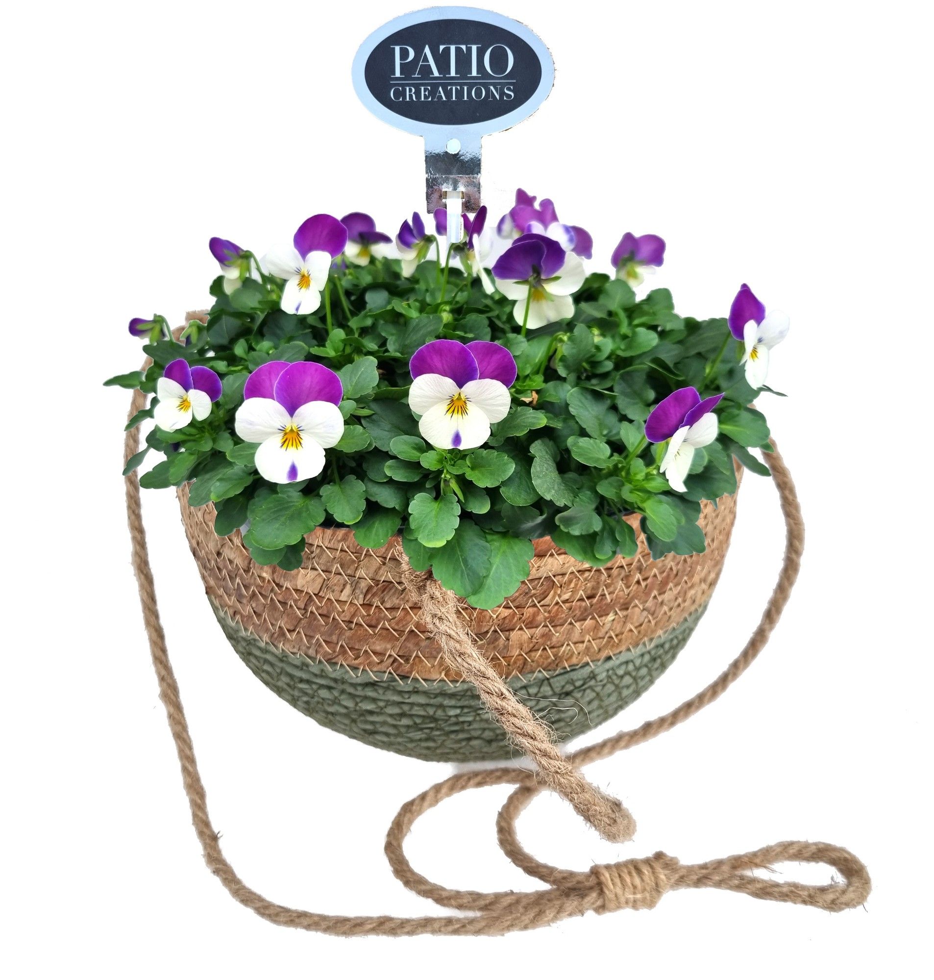 V794-9323 Viola Tess hangmand S, D 22