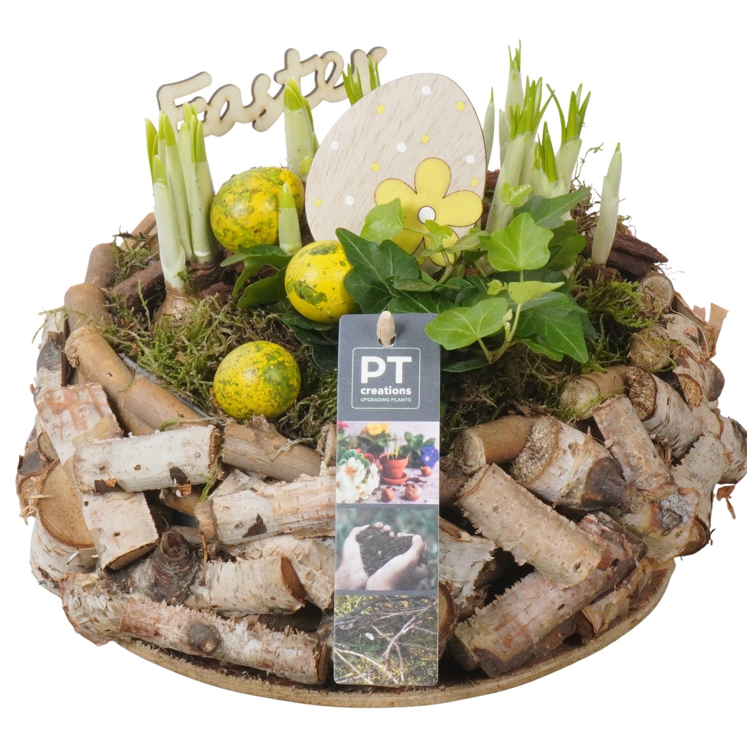 PTBMP5724 Arrangement Easter Bulbs Mix in houten pot, D 23