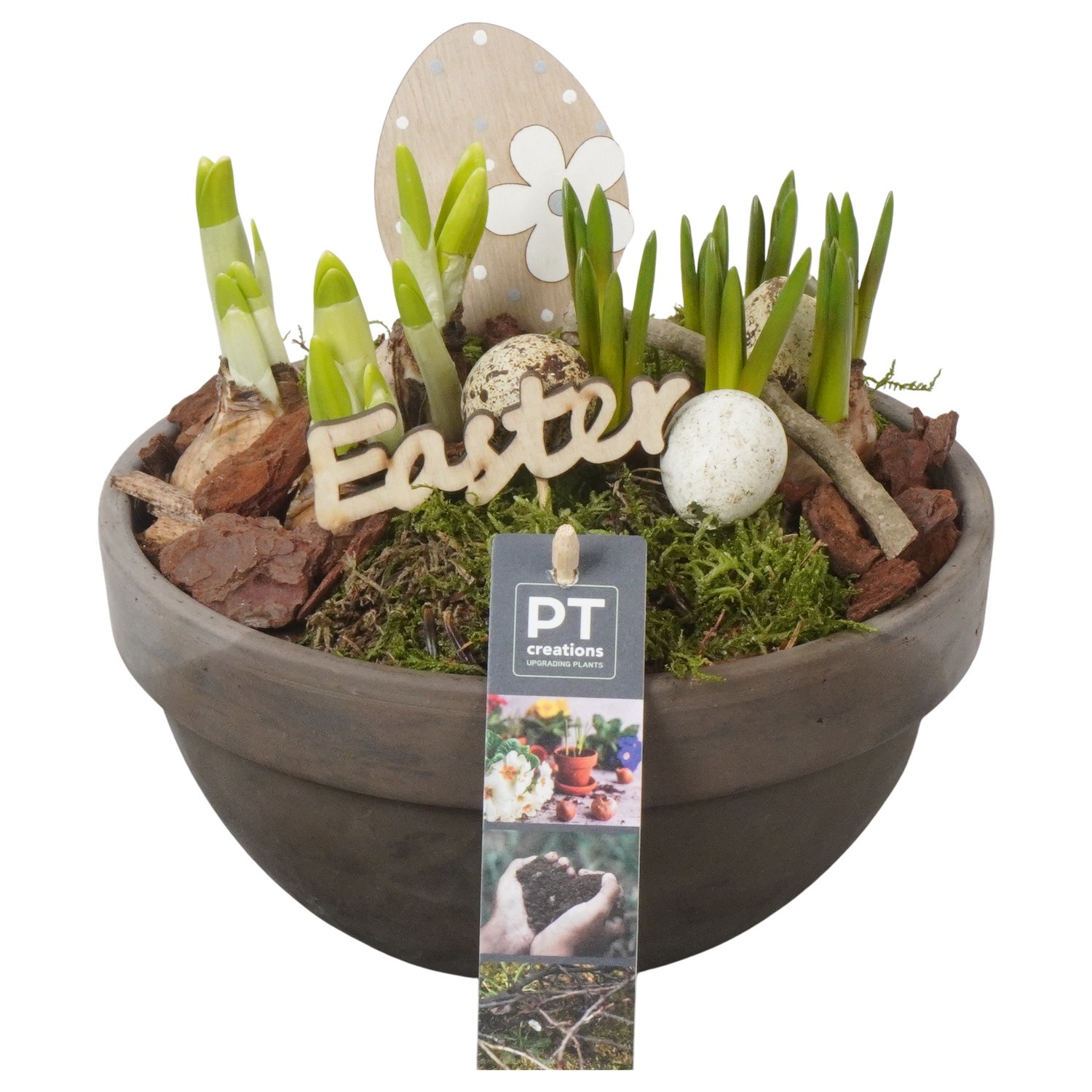 PTBMP5709 Arrangement Easter Bulbs Mix in terracotta schaal, D 19