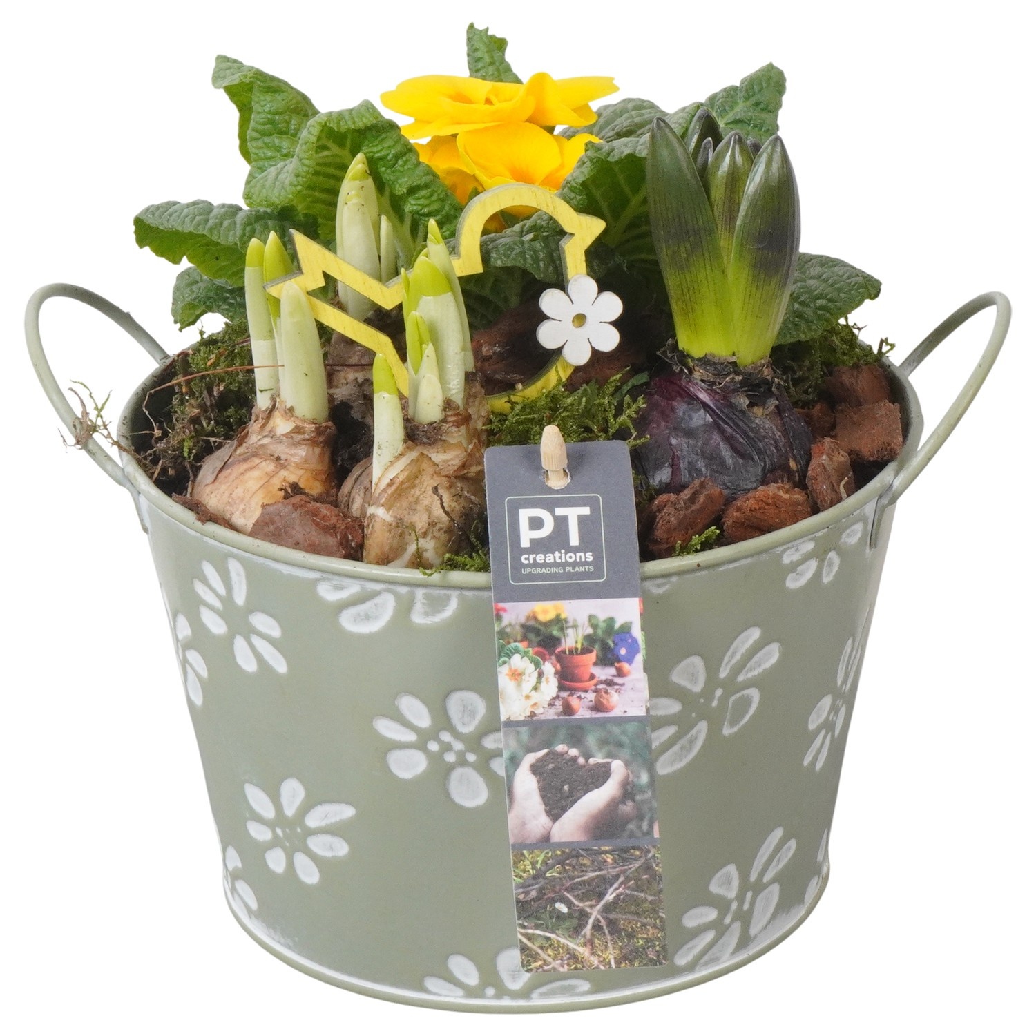 PTBM3760 Arrangement Flower Bulbs Mix in metalen pot, D 18