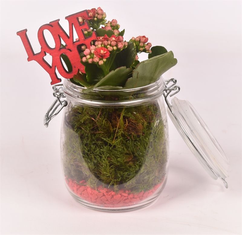 Glas weckpotje 11cm, D 11