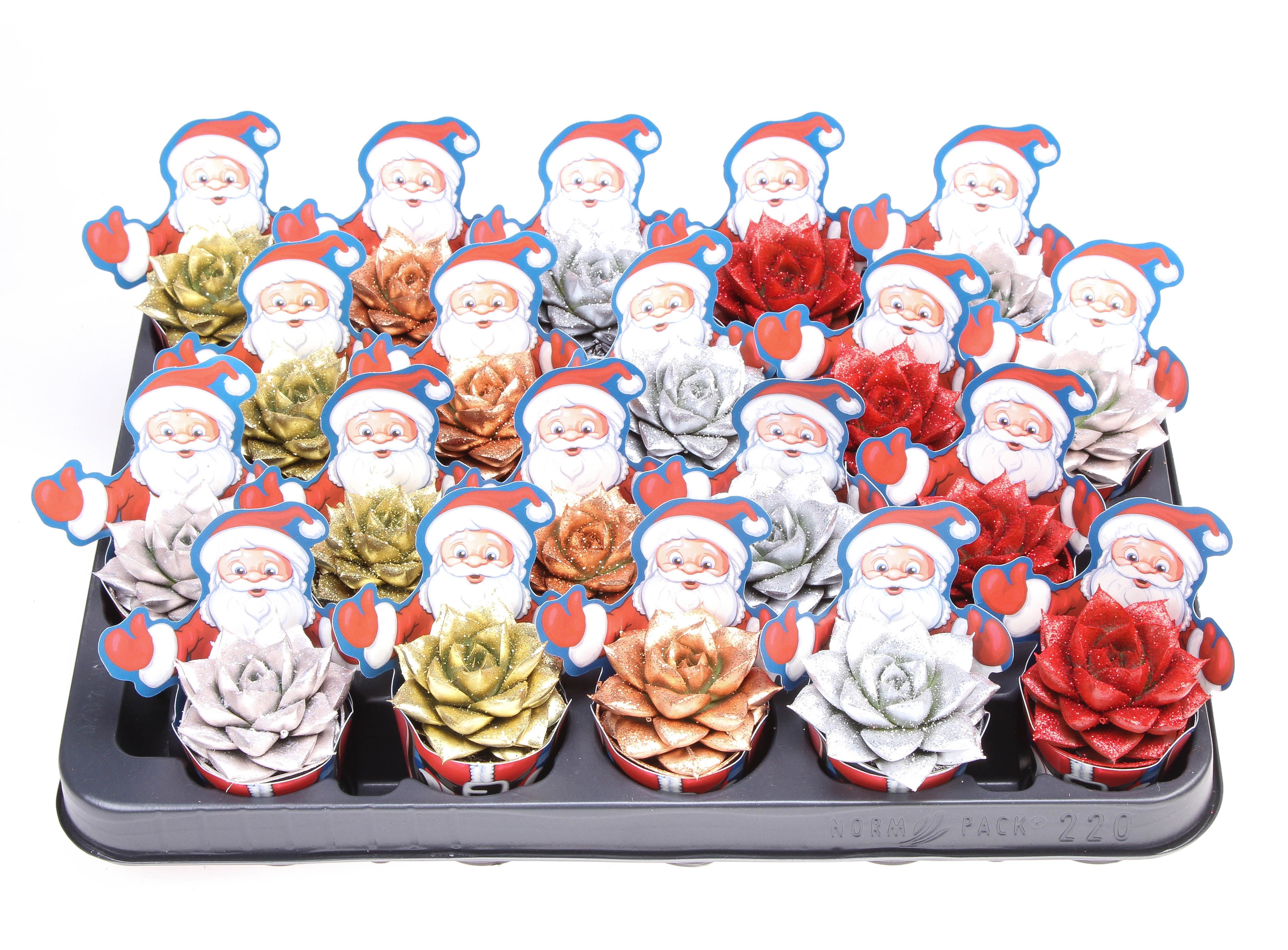 Potcover santaclaus purper glittermix + bio glitter, D 5,5