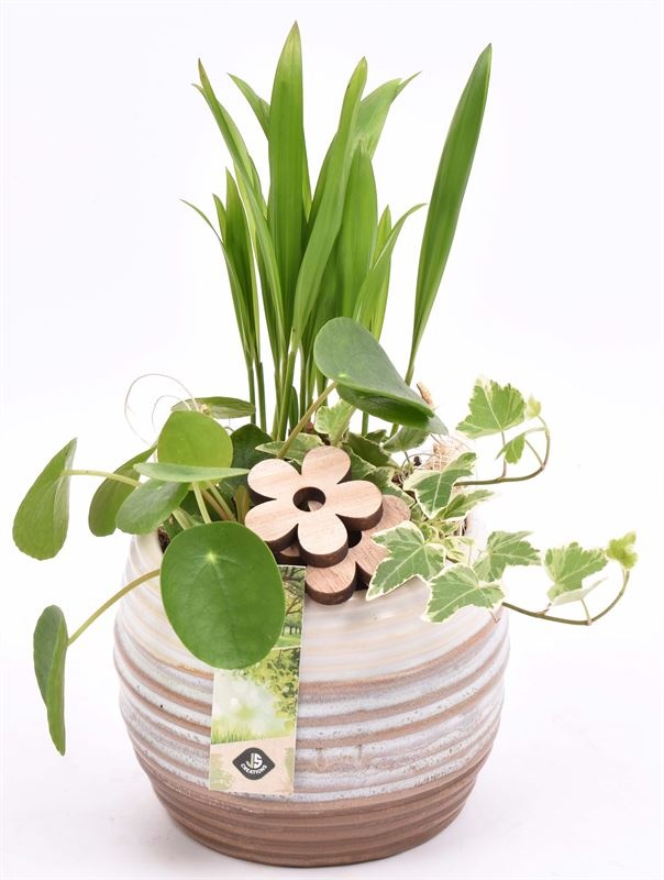 Keramiek sierpot bruin/creme 14cm, D 15