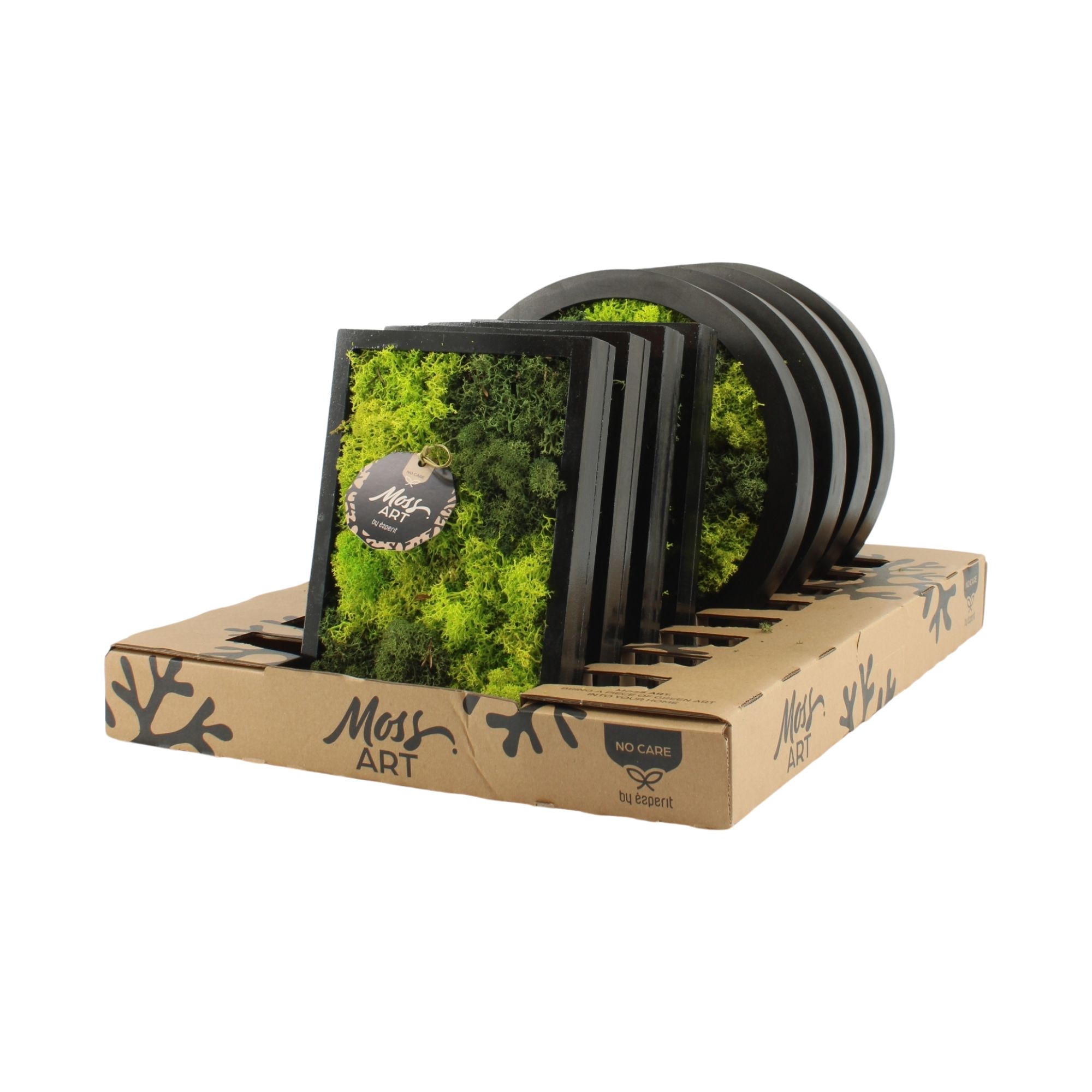 90932: Moss Art Mix Rectangular D24 & Round D27, D 27