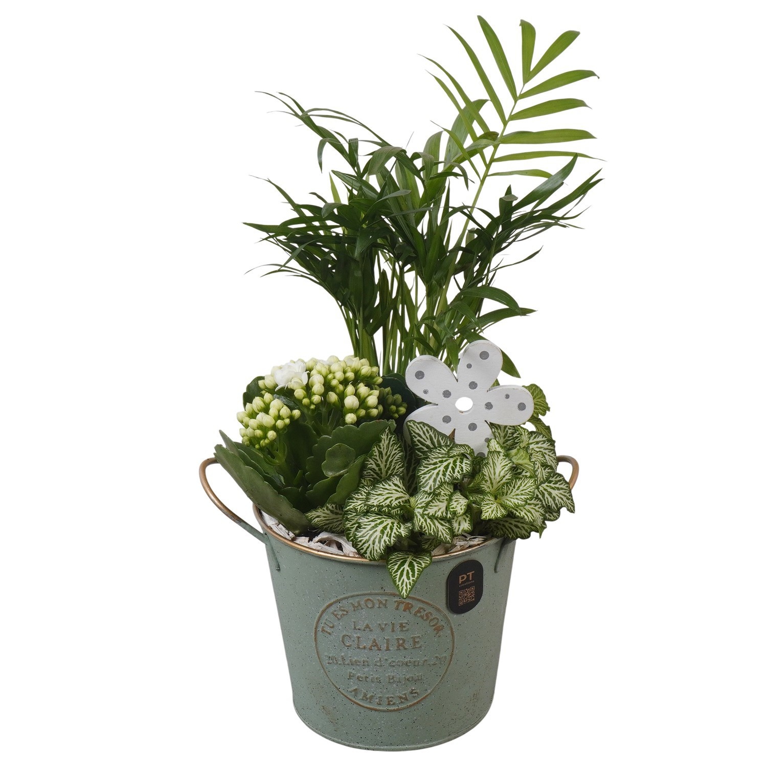 PTIB5304 Arrangement Indoor in metalen pot, D 13