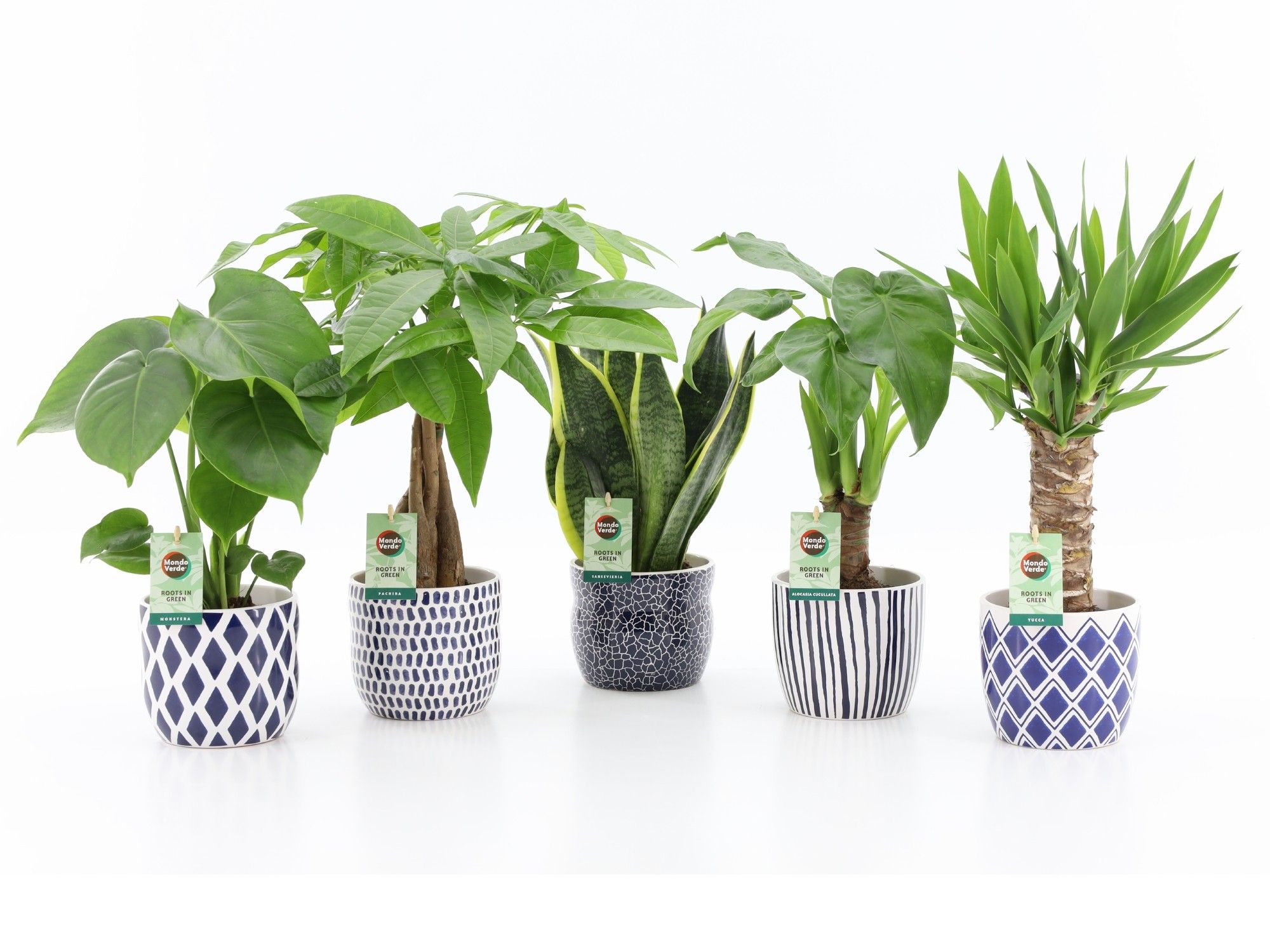 Tropic Mix in Delft-Blue Keramiek, D 13