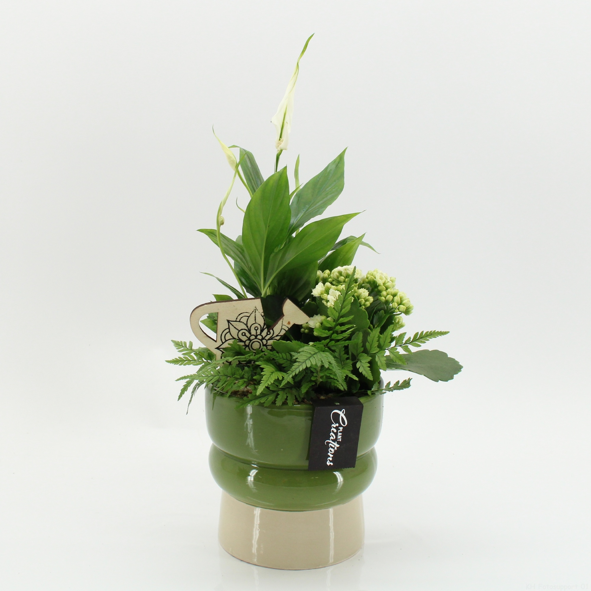 ESCR-2619W Essentials, D 14