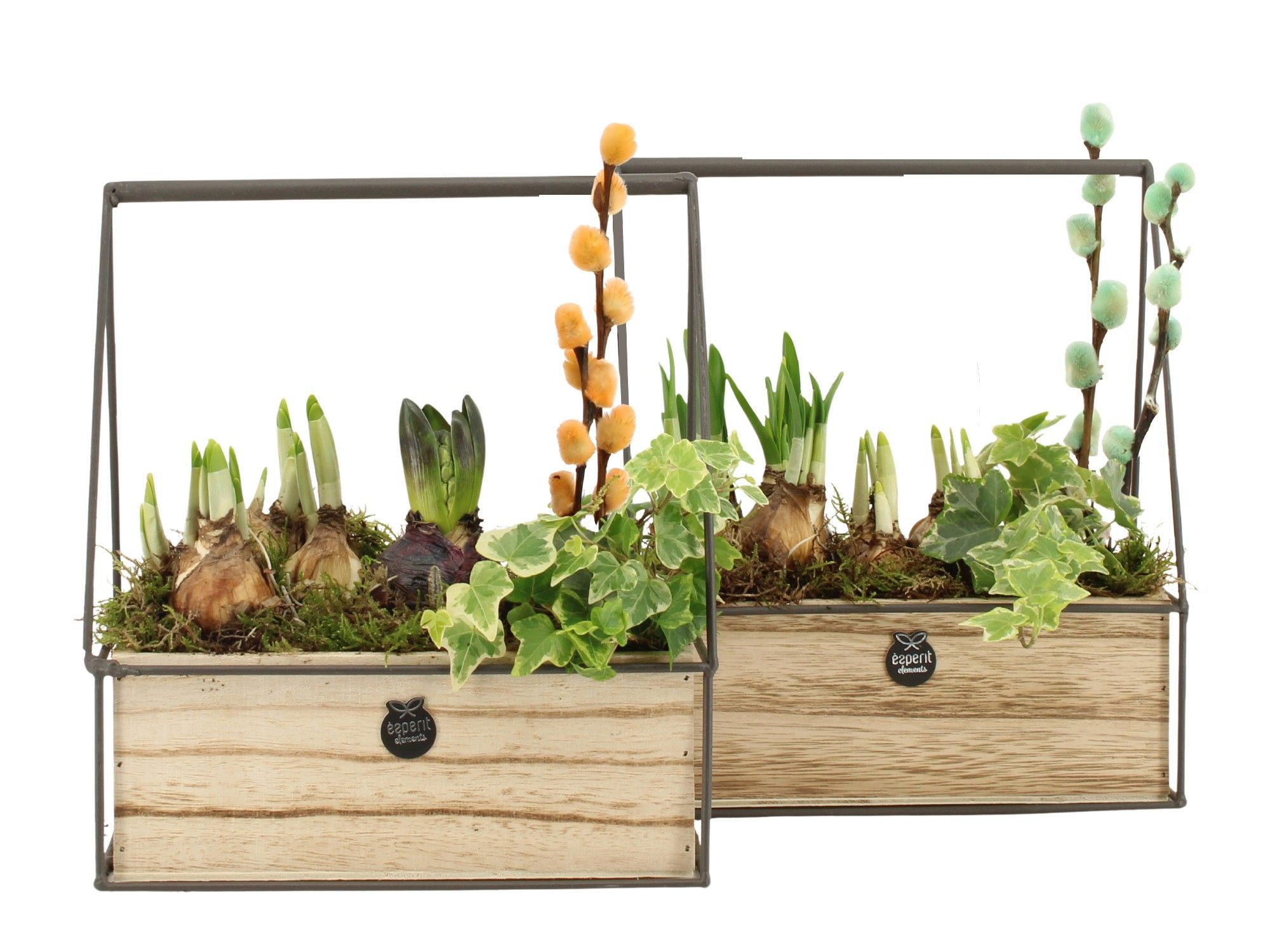 11684: Outdoor spring arrangement, D 22