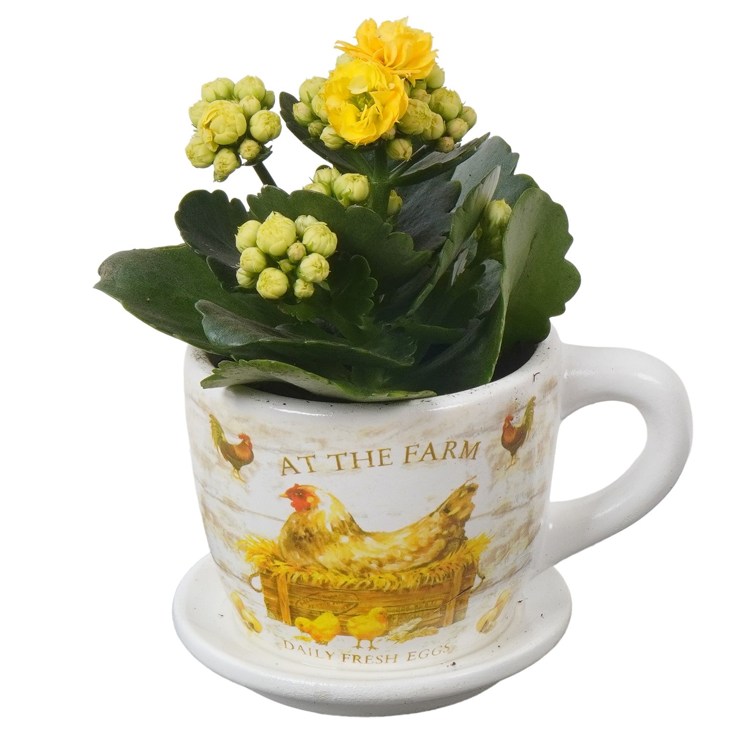 PTPB6510 Arrangement Easter in keramiek pot, D 8