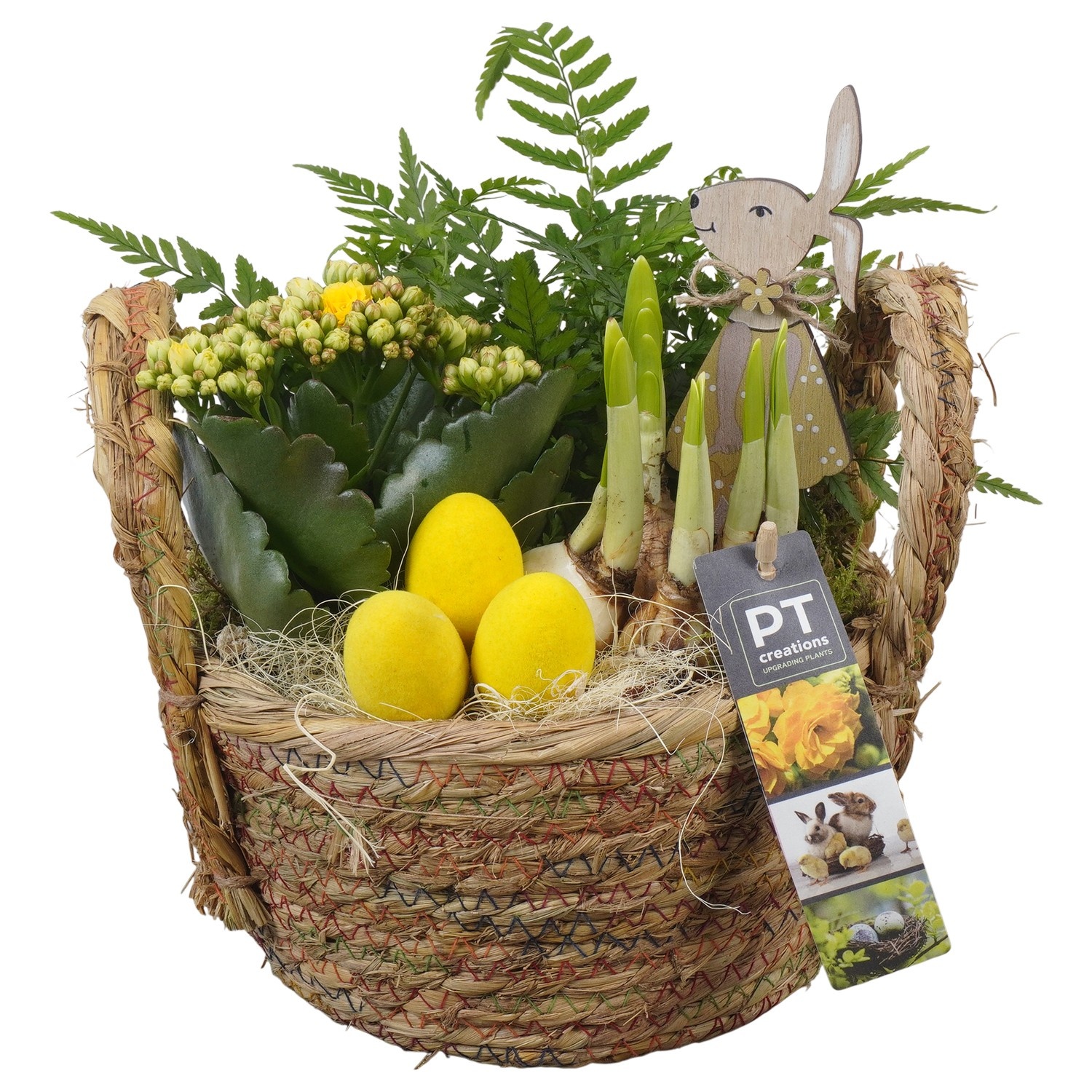 PTPB6551 Arrangement Easter in rieten mand, D 18