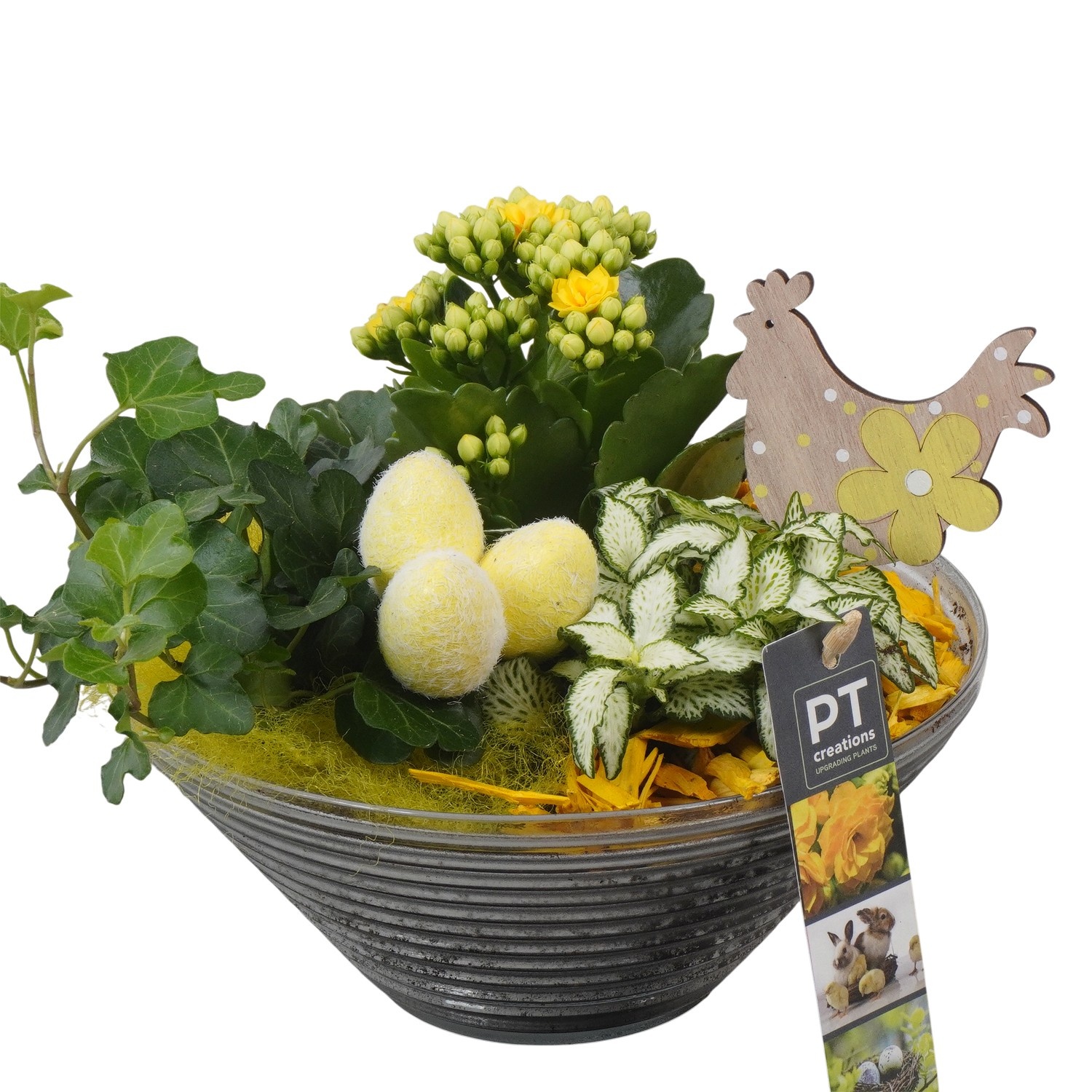 PTPG9349 Arrangement Easter in glasschaal, D 19