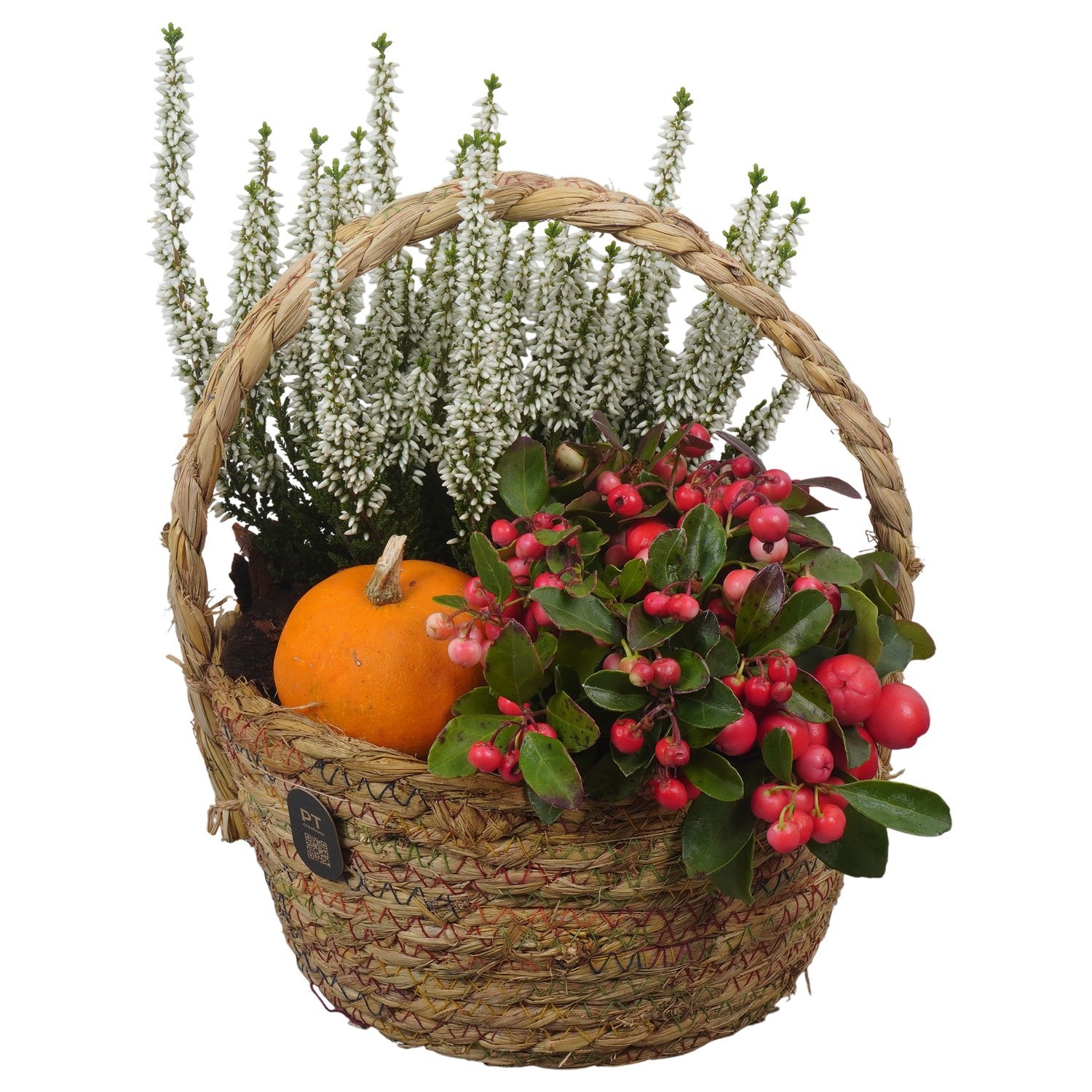 PTHO7523 Arrangement Autumn Outdoor in rieten mand, D 18