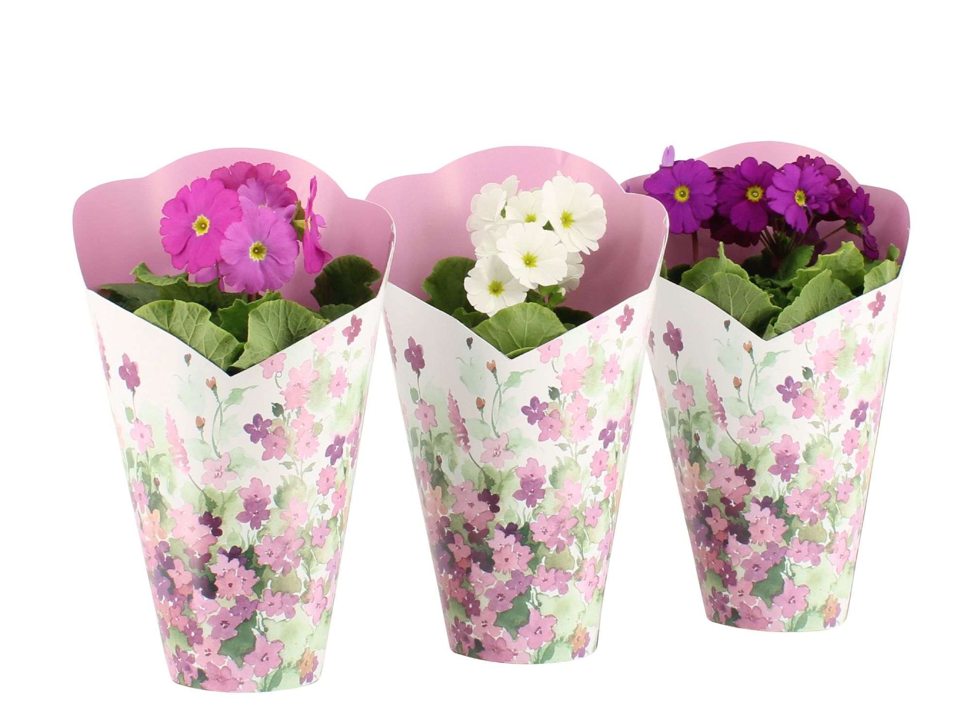 7501420: Solutionss Consideration, D 12