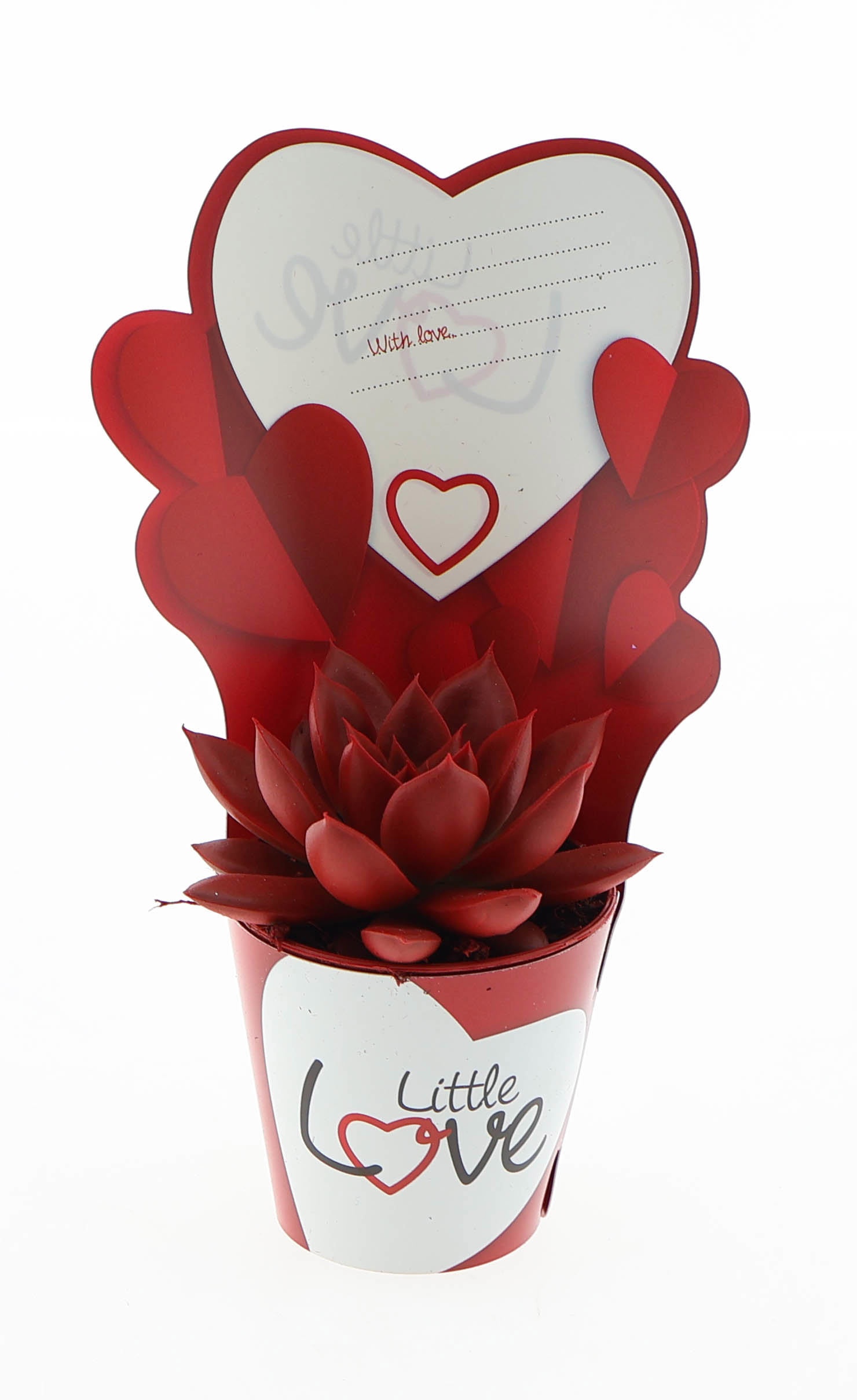 Potcover little love miranda rood, D 5,5