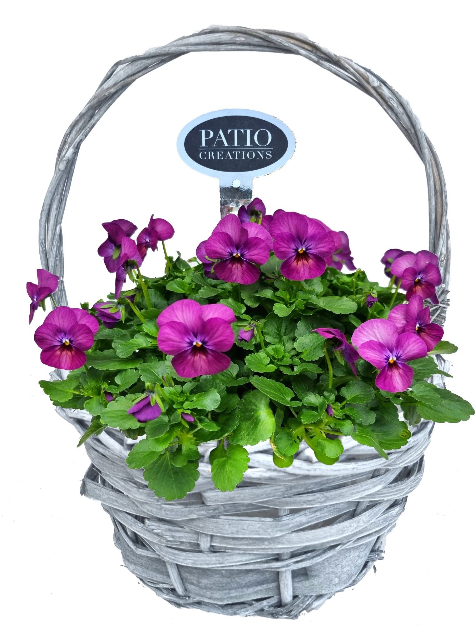 V116(612)-9323 Viola wilg grijs hengselmand, D 25