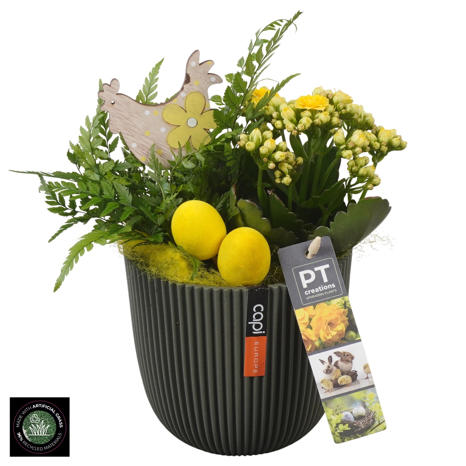 PTPB6589 Arrangement Easter in capi pot, D 13