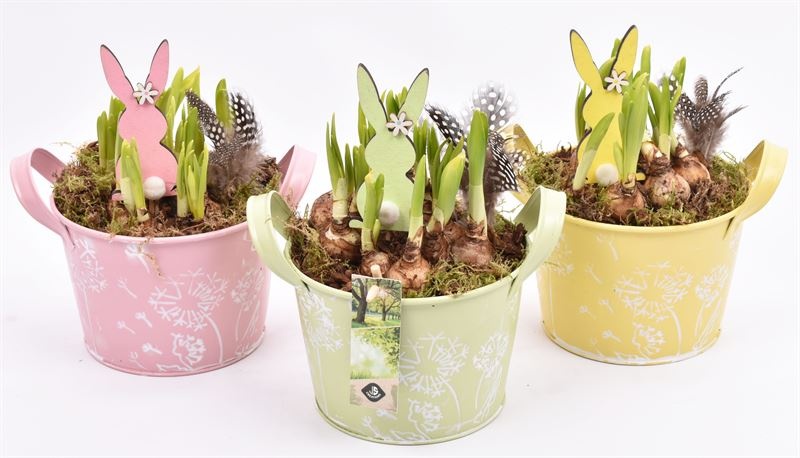 Zink schaal decor mix kl 15.5cm, D 16