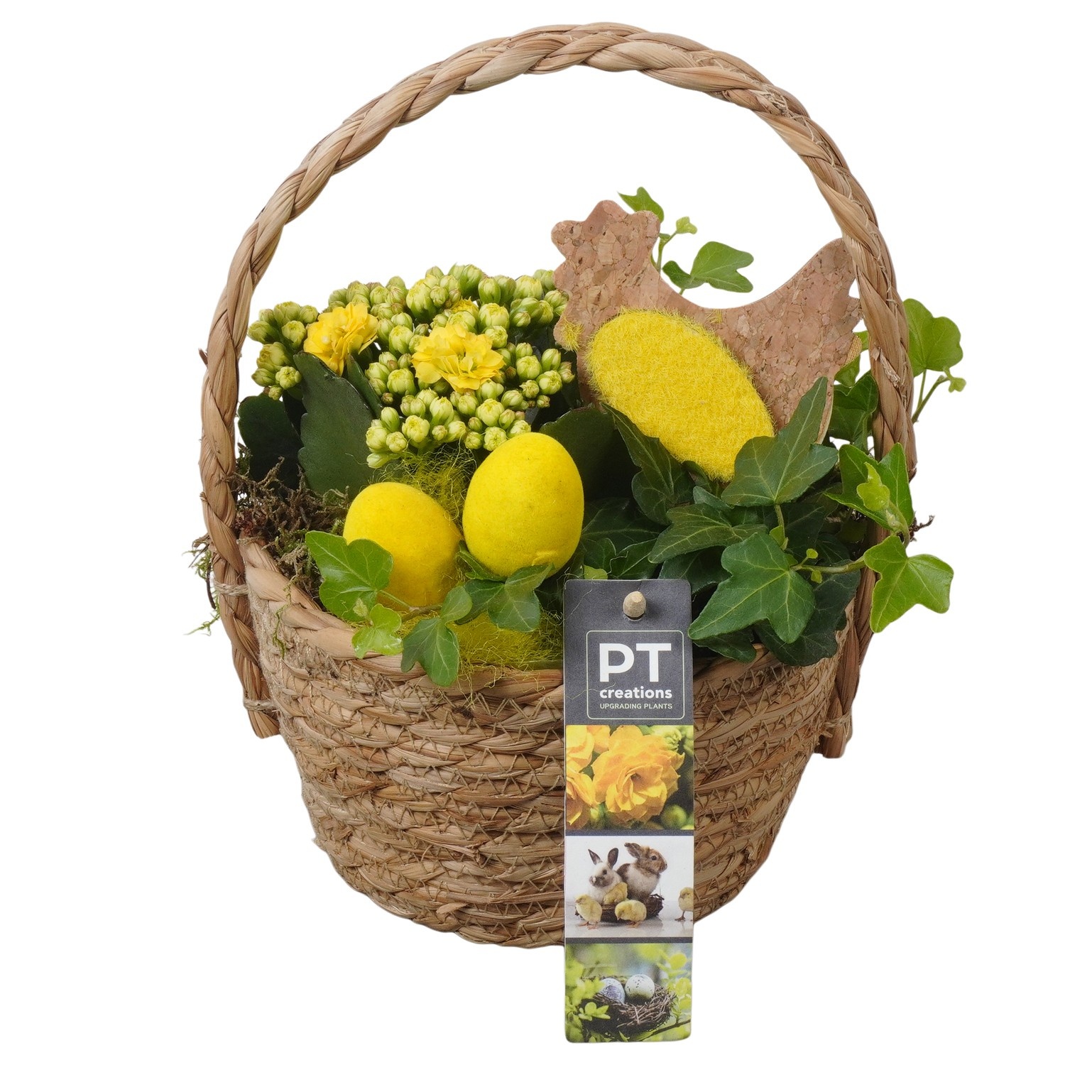PTPB6544 Arrangement Easter in rieten mand, D 15